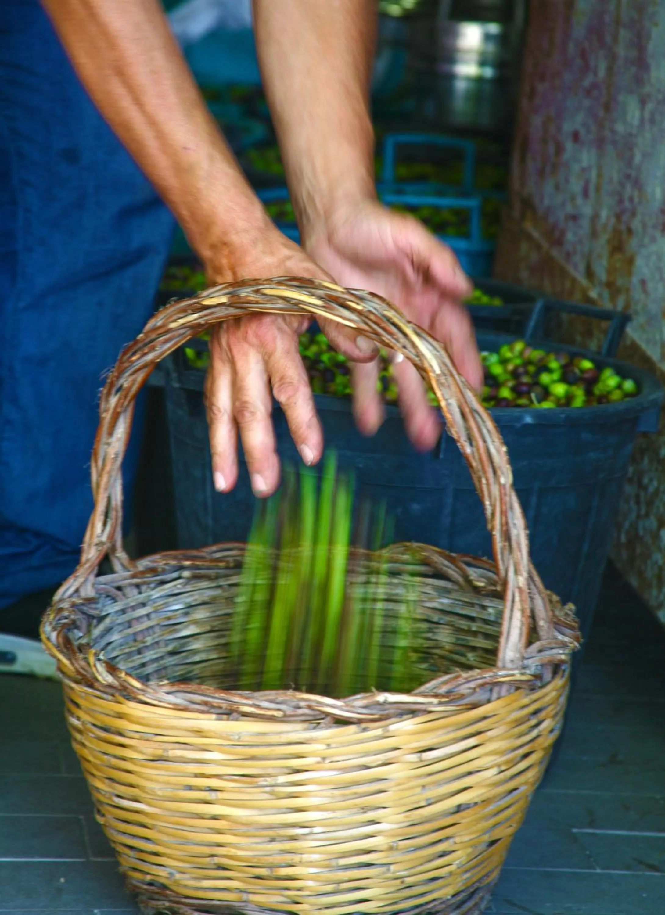 Other in Punta Chiarito Resort