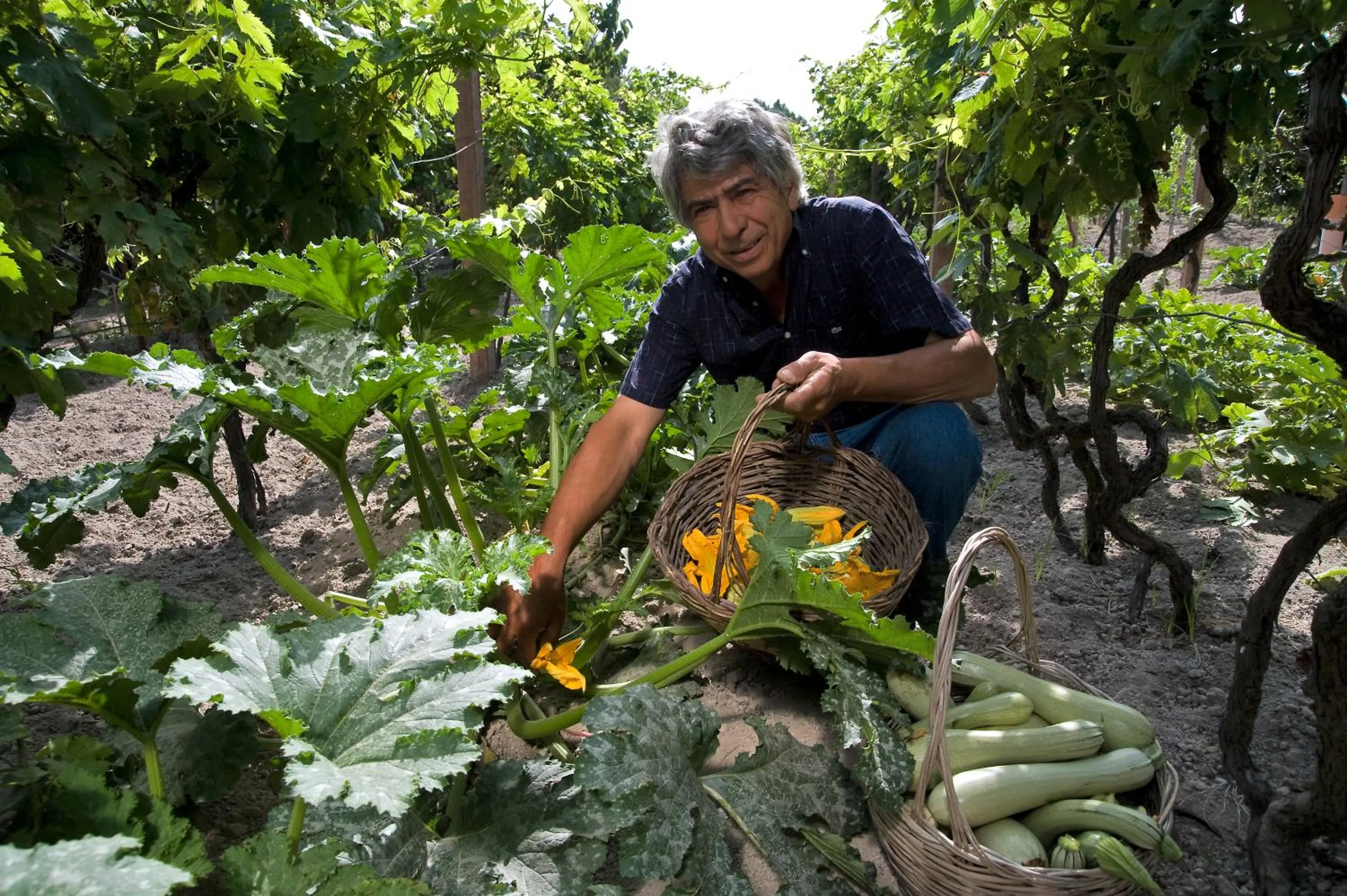 People in Punta Chiarito Resort
