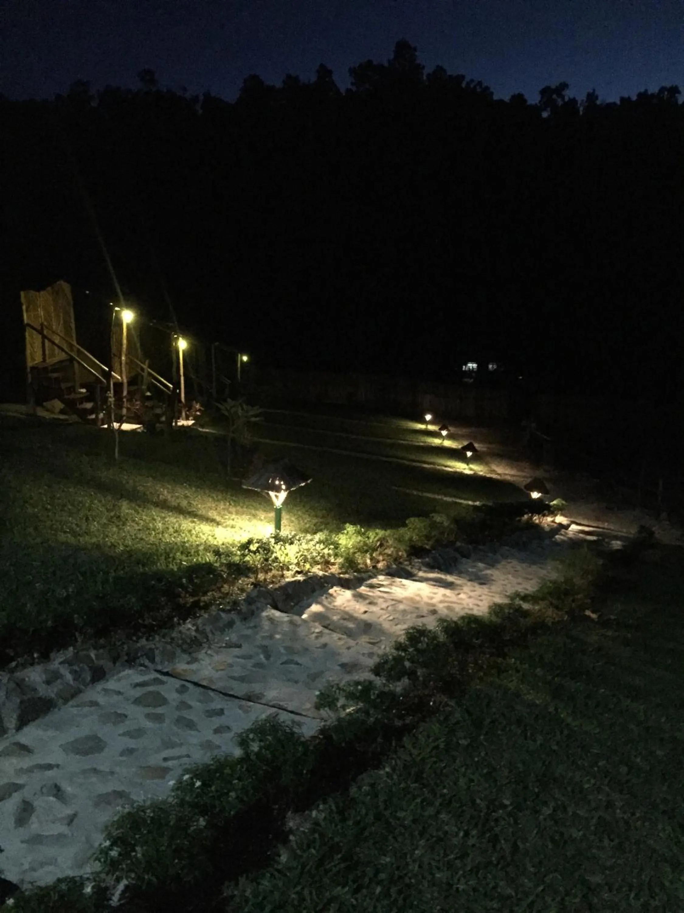 Night in Backpacker's Hill Resort