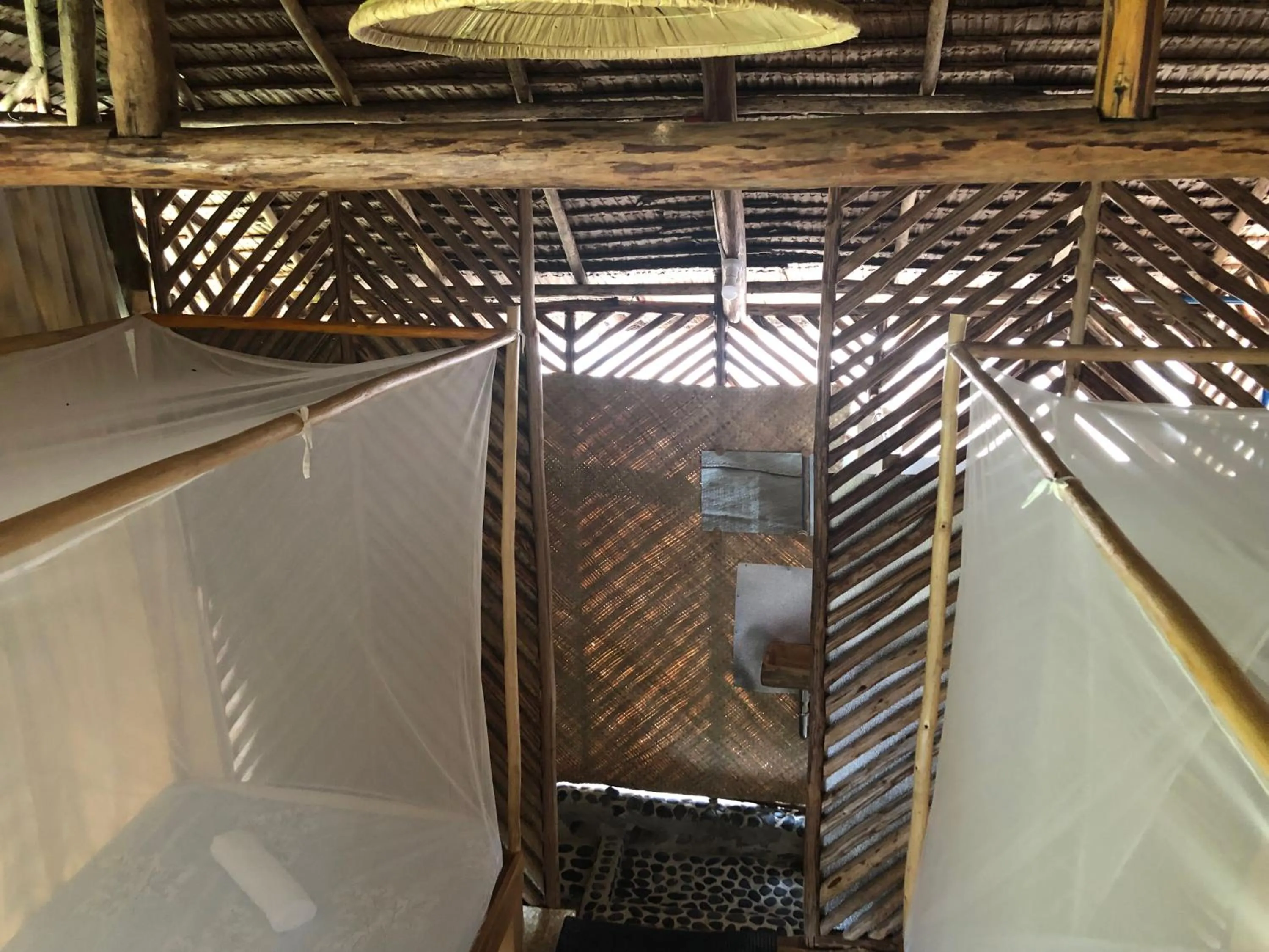 Photo of the whole room in Backpacker's Hill Resort