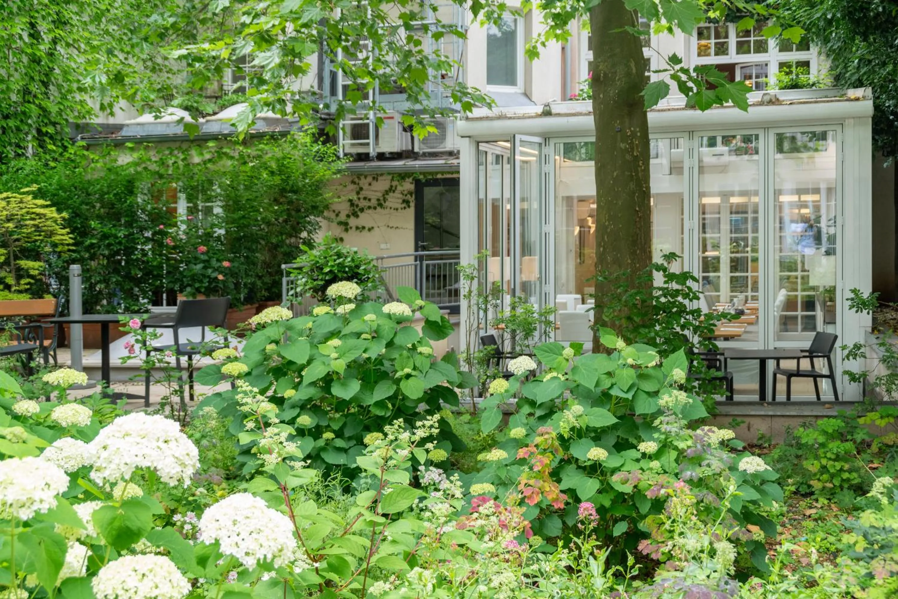Garden in Hotel Spiess & Spiess