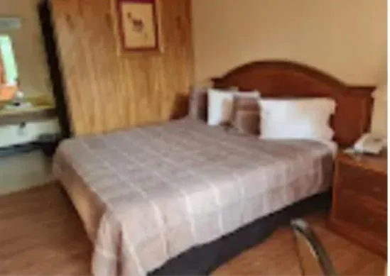 Bed in Daniel Boone Motor Inn