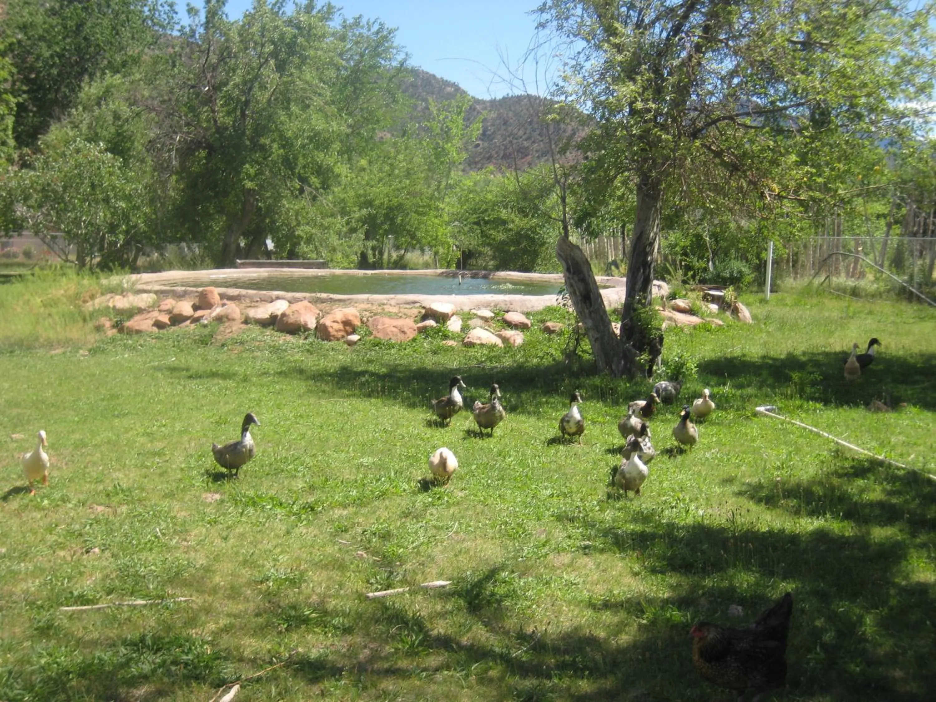 Decorative detail in Bumbleberry Inn