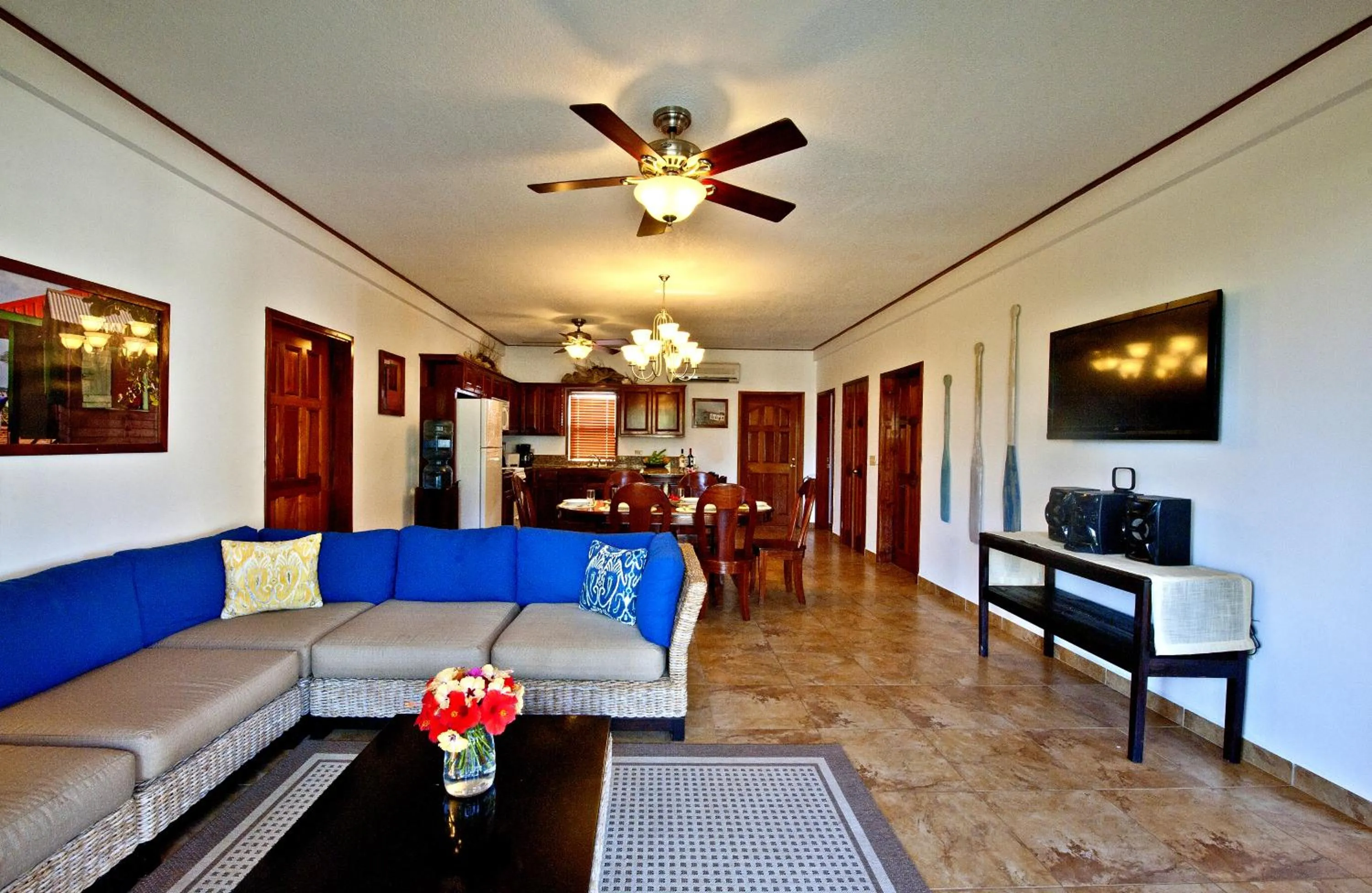 TV and multimedia in Hopkins Bay Belize a Muy'Ono Resort