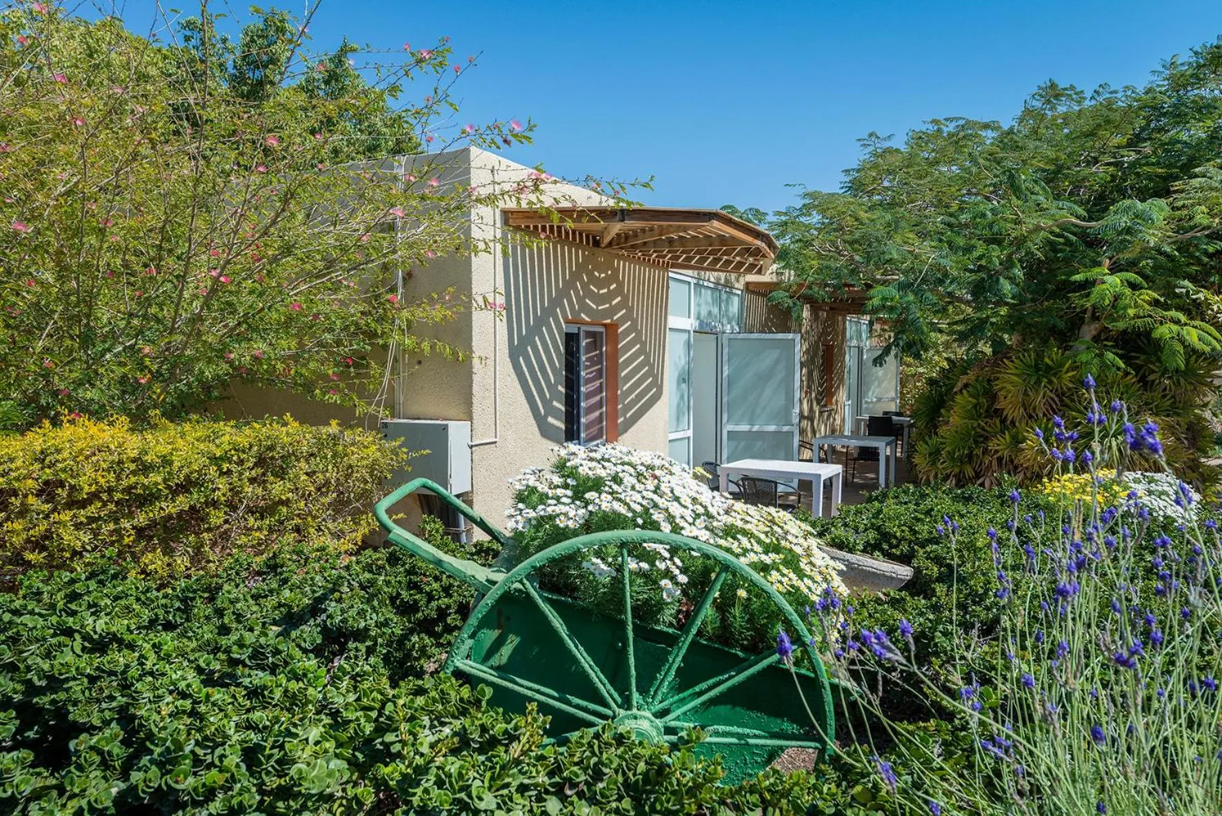 Garden view in קיבוץ אילות - חדרי אירוח עם בריכה משותפת