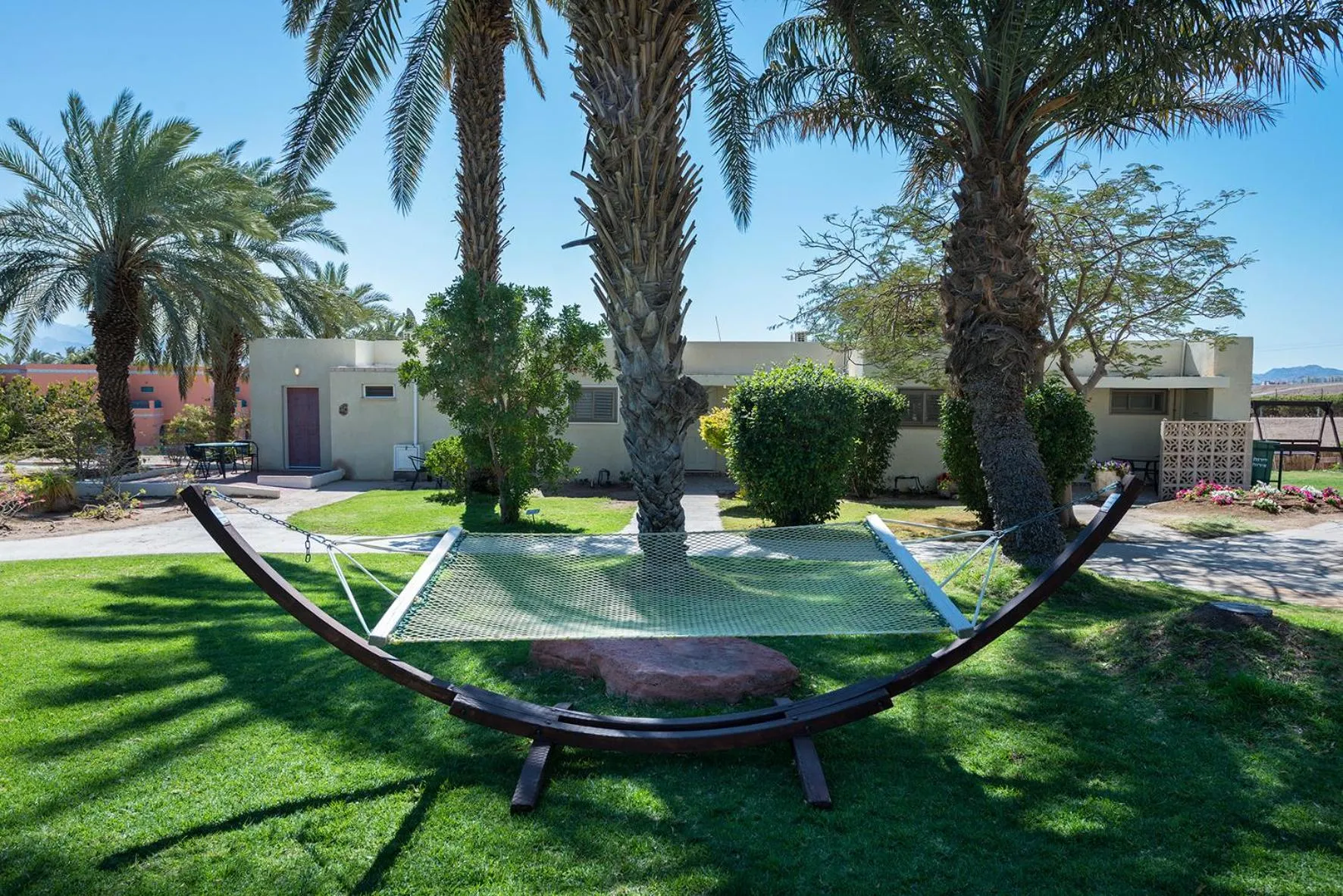 sunbed in קיבוץ אילות - חדרי אירוח עם בריכה משותפת