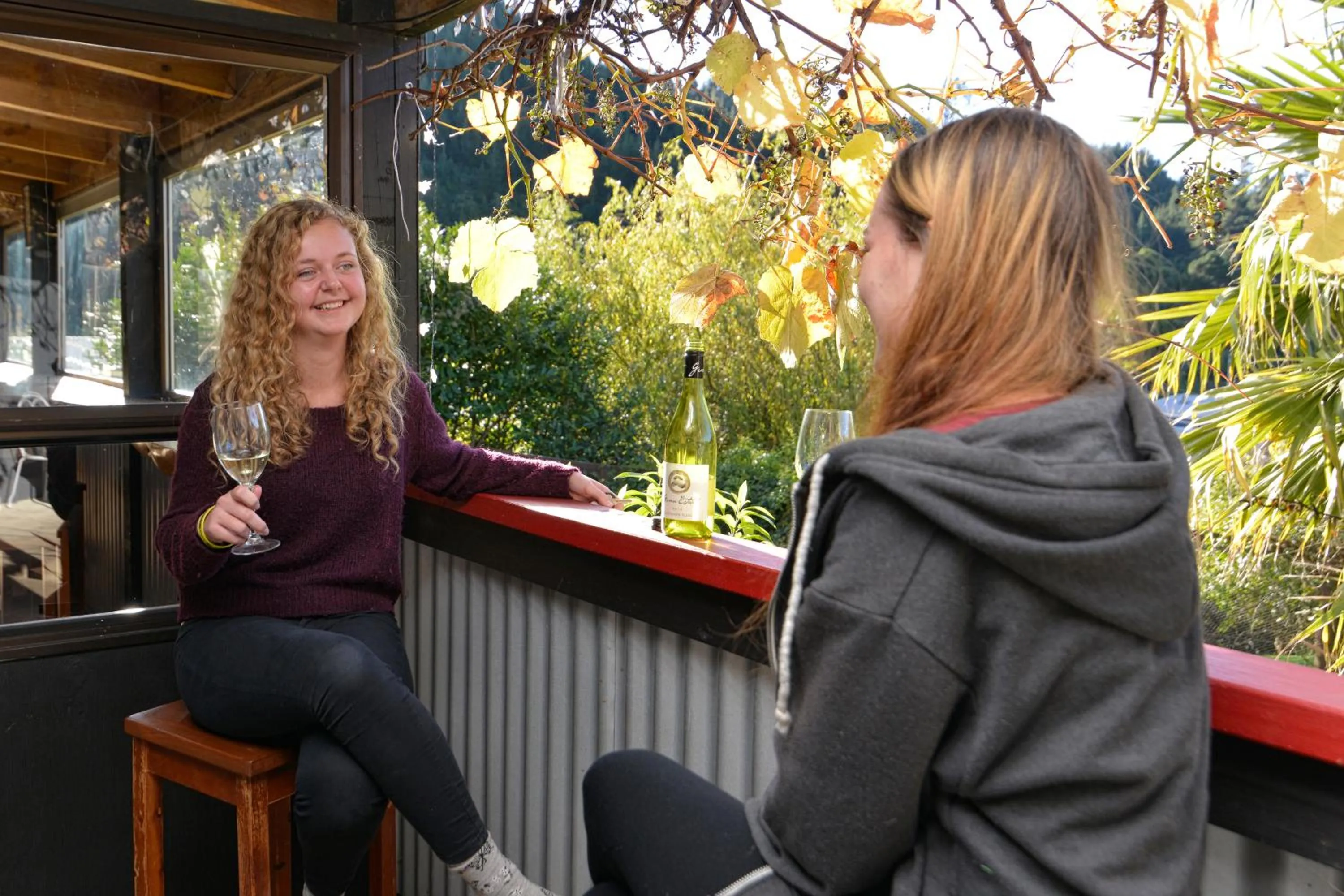 Day in Tombstone Motel, Lodge & Backpackers