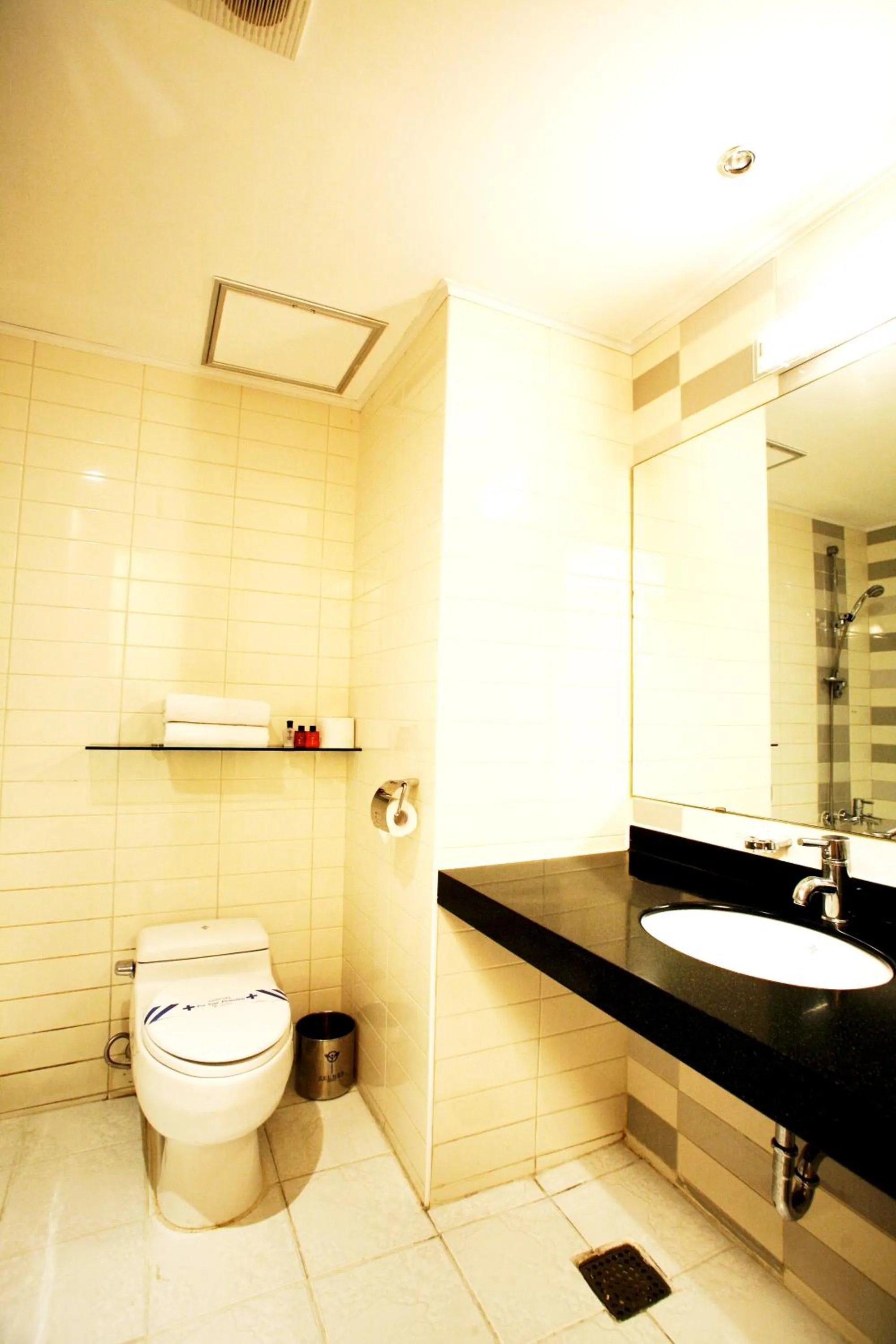 Toilet in Incheon Airport Hotel Zeumes