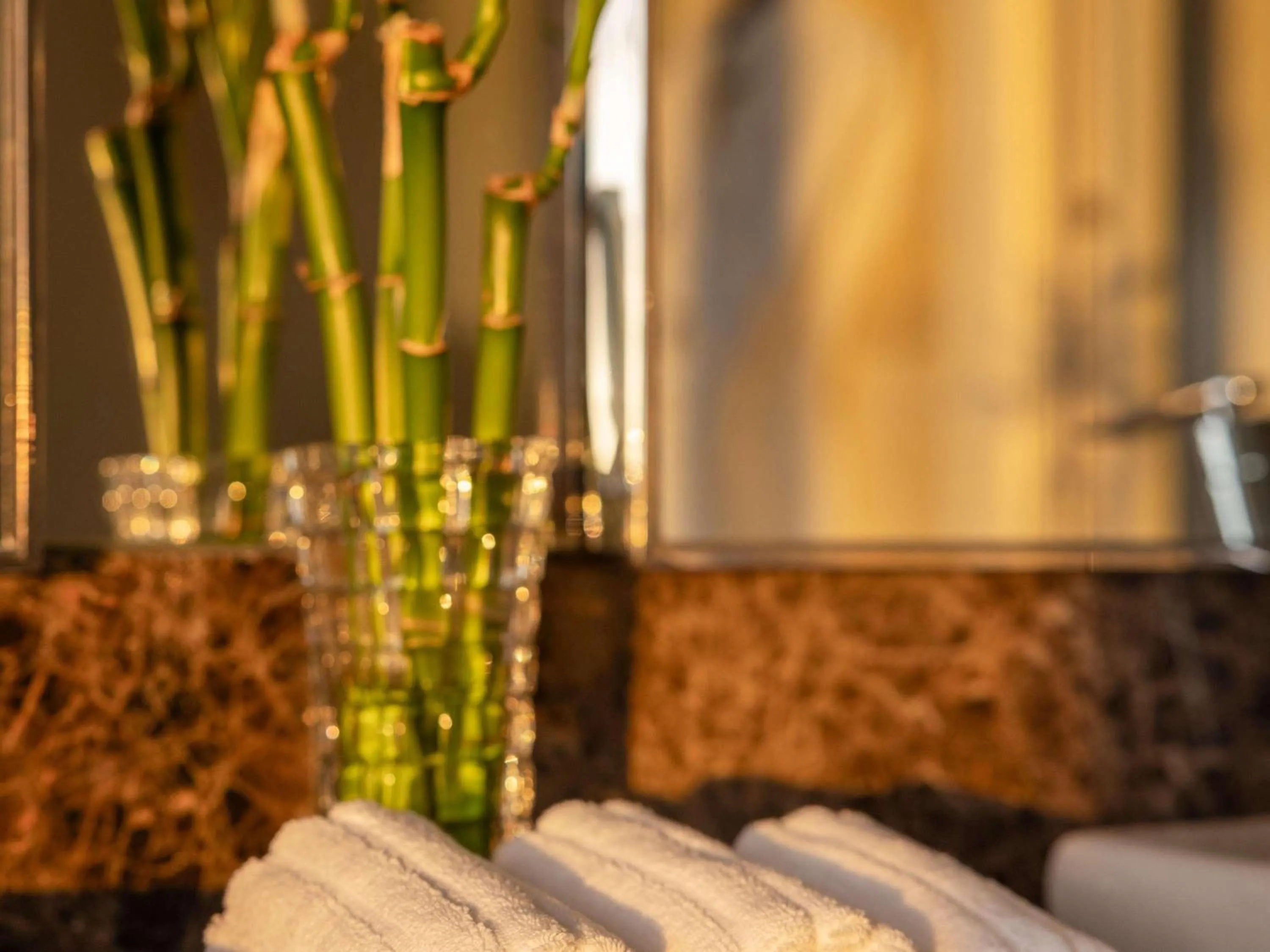 Spa and wellness centre/facilities in Fairmont Makati