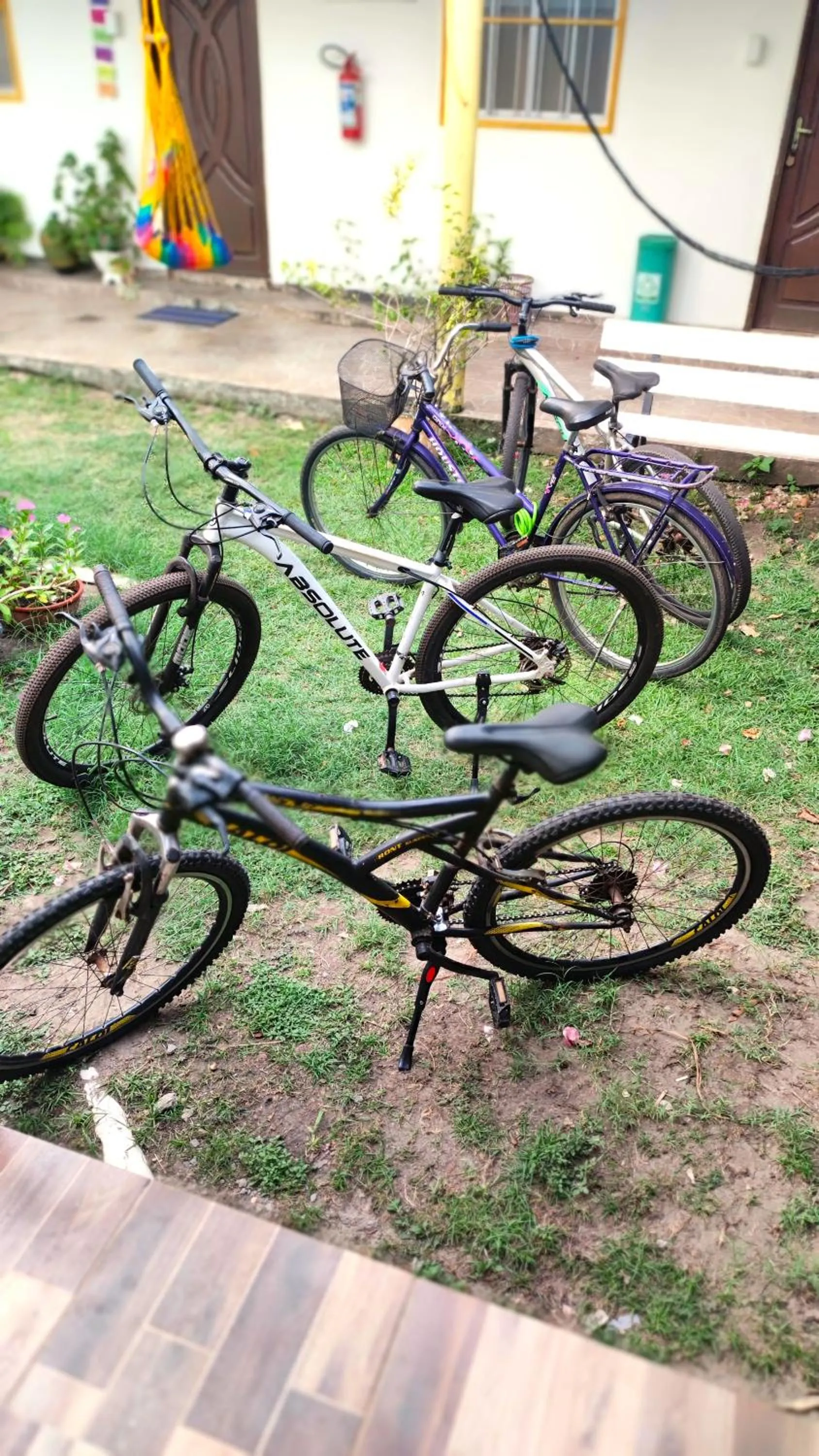 Garden in Pousada Solar Encanto do Marajó