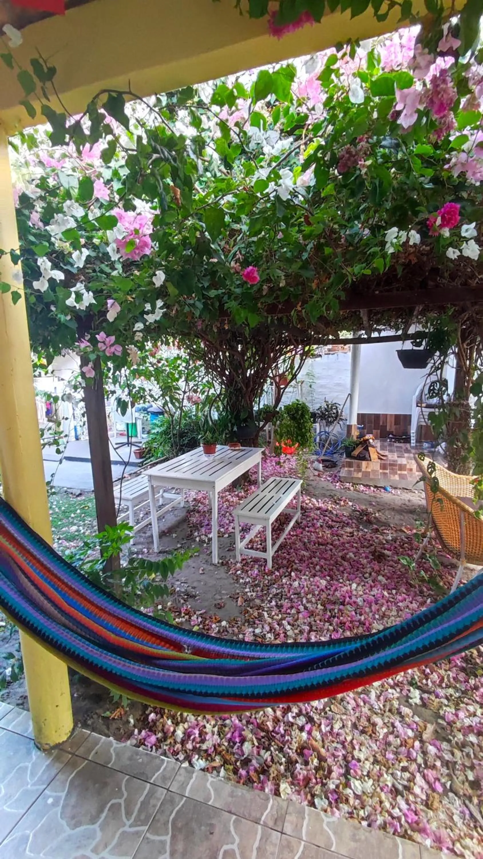 Garden in Pousada Solar Encanto do Marajó