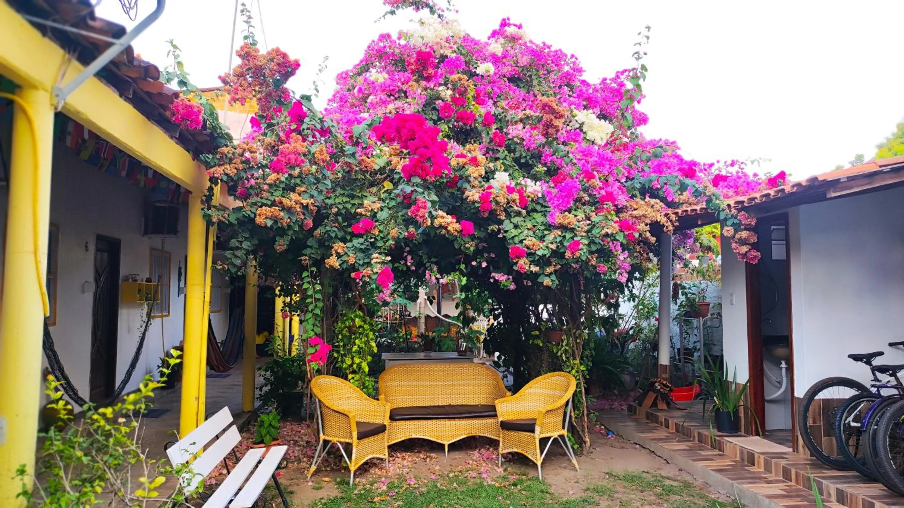 Garden in Pousada Solar Encanto do Marajó