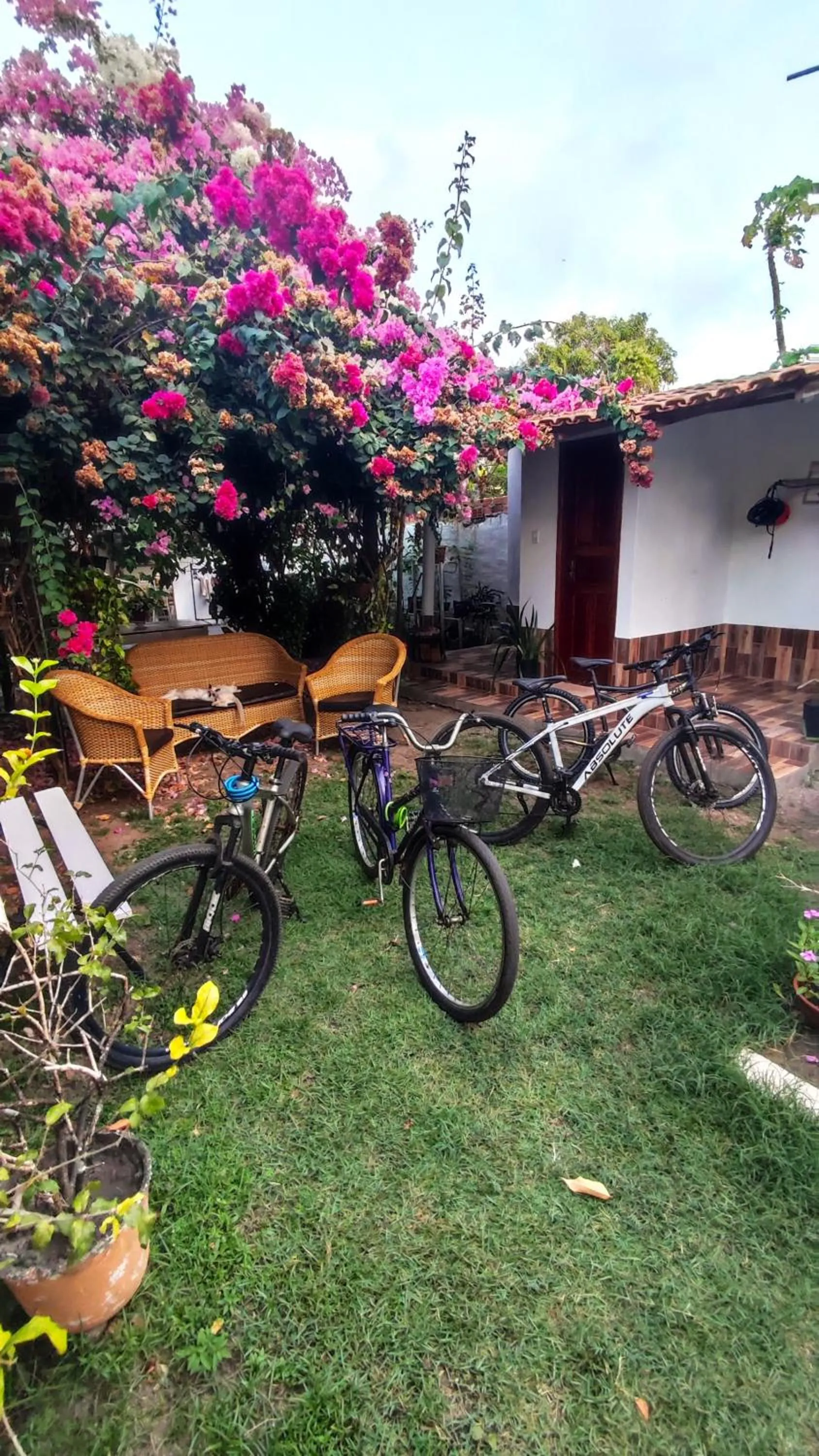 Garden in Pousada Solar Encanto do Marajó