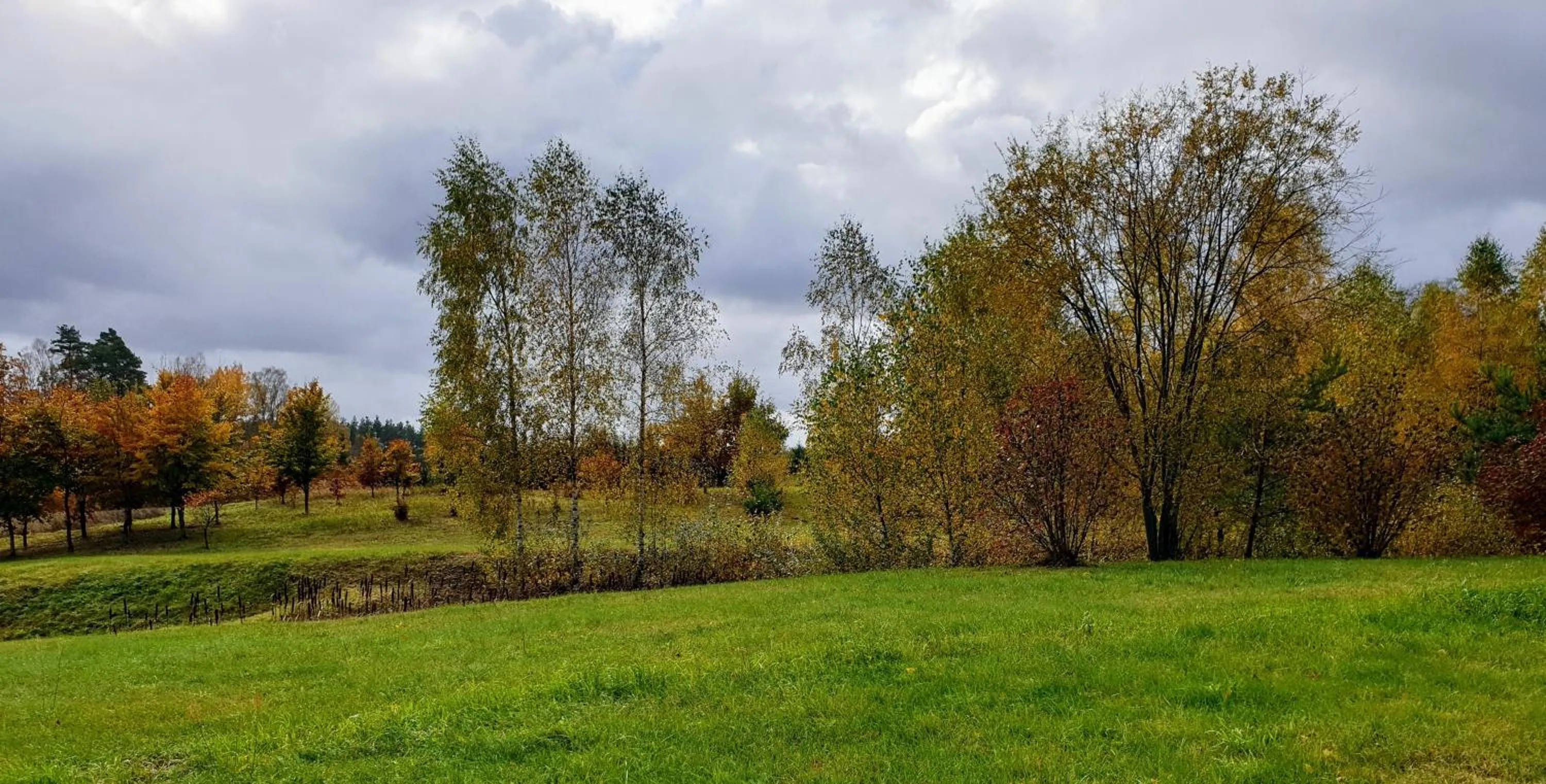 Natural landscape in Park Inn Resort przy jeziorze - sauna i duży parking - pieski mile widziane