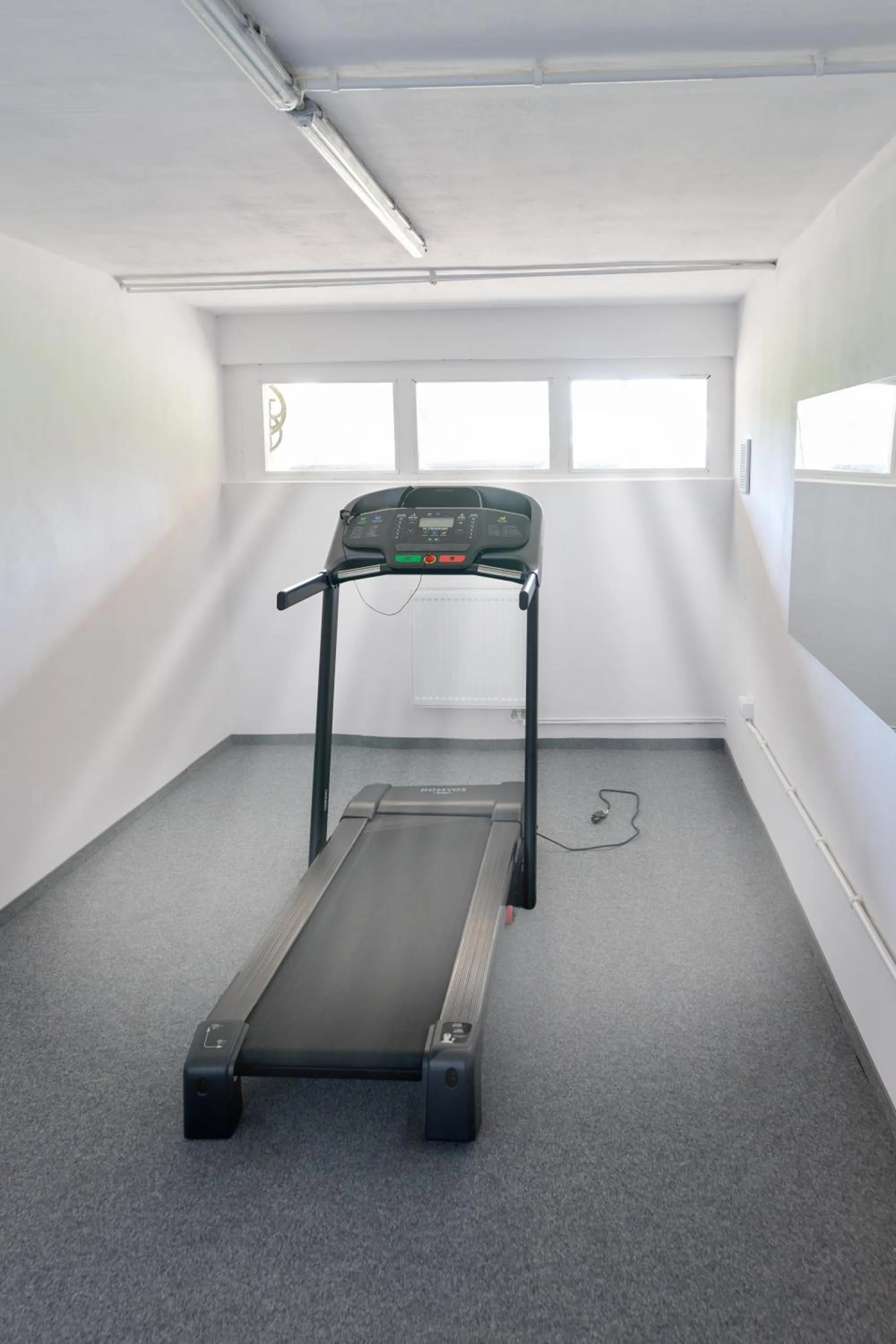 Fitness centre/facilities in Park Inn Resort przy jeziorze - sauna i duży parking - pieski mile widziane