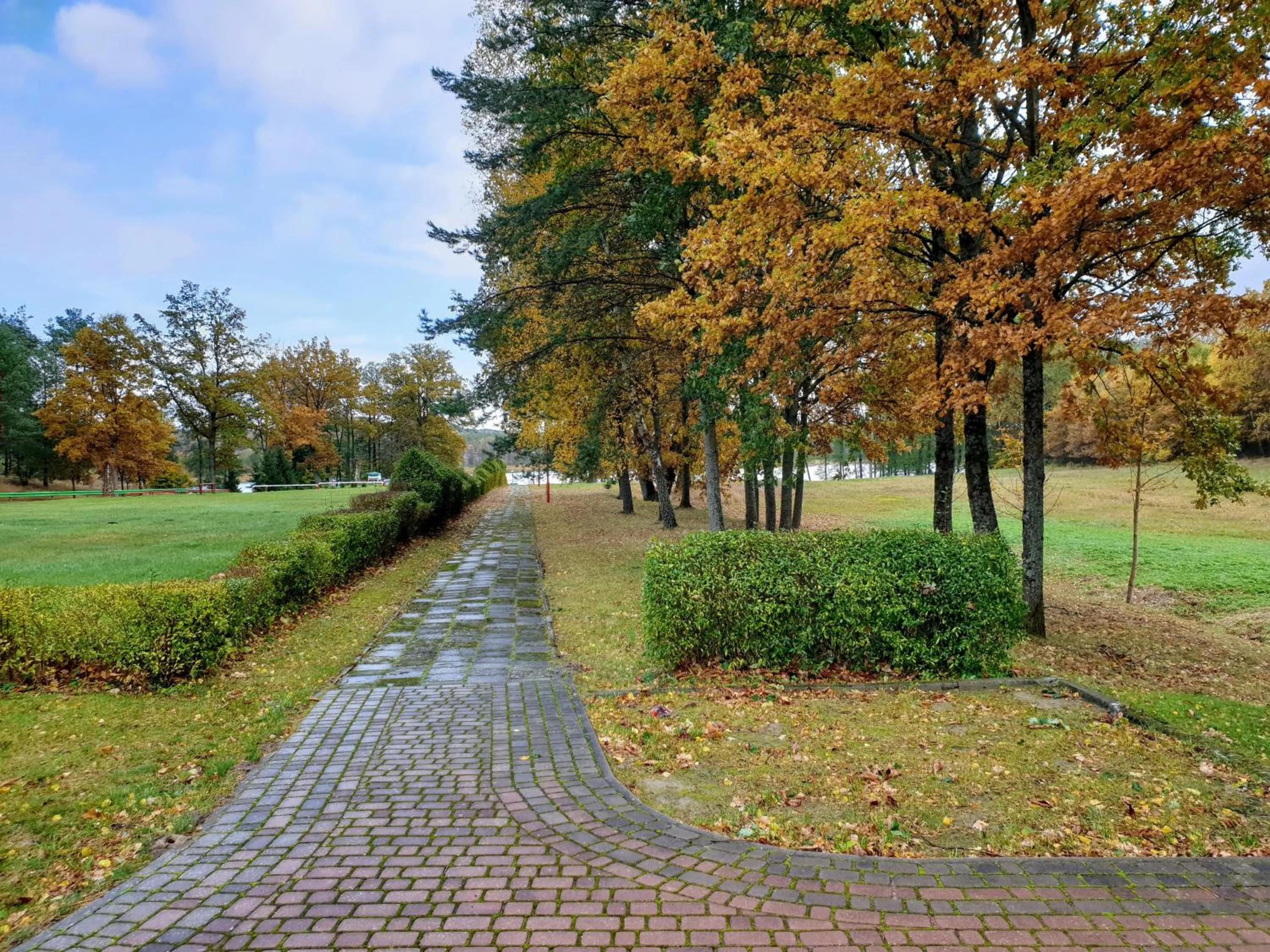 Natural landscape in Park Inn Resort przy jeziorze - sauna i duży parking - pieski mile widziane