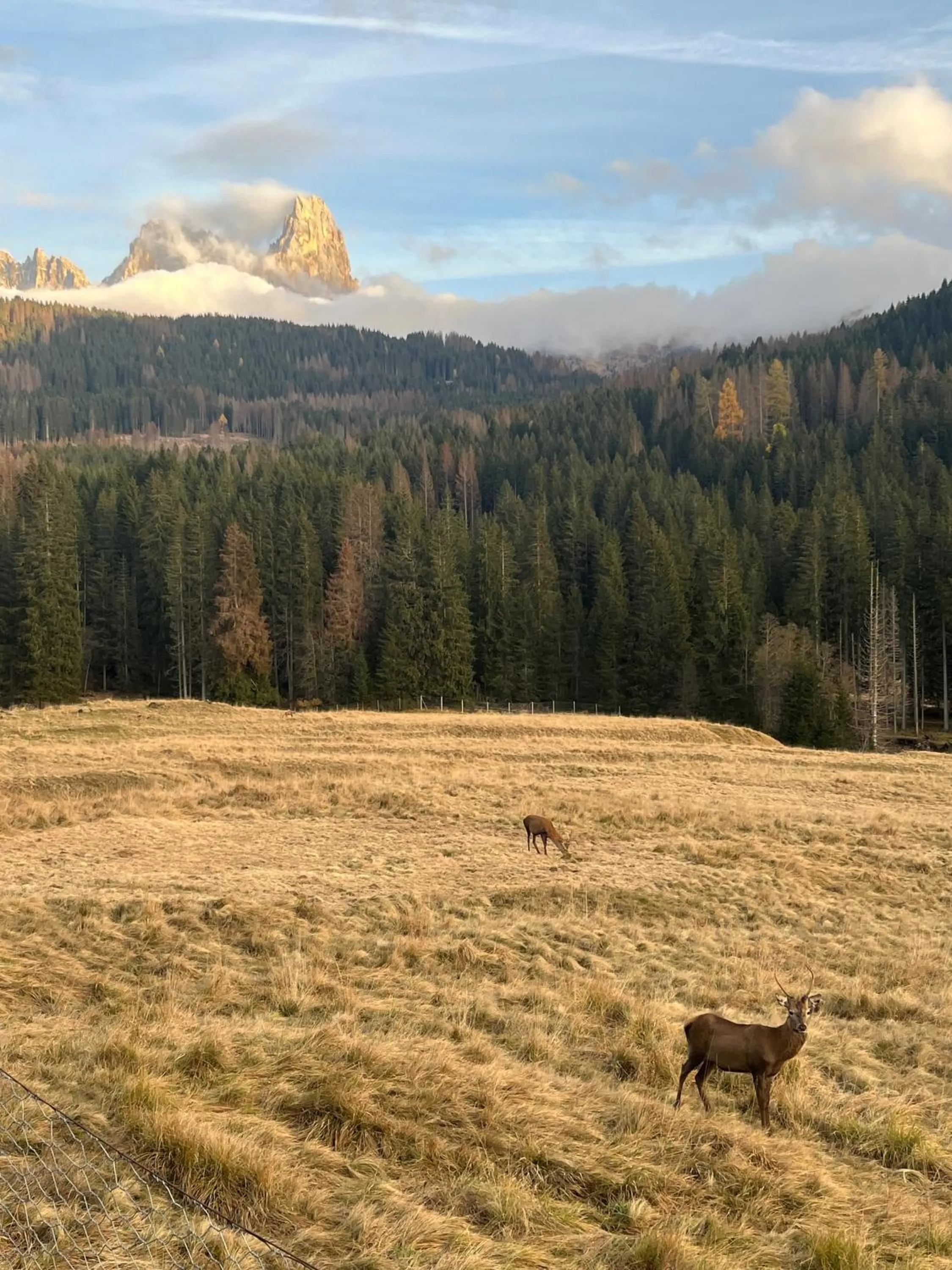 Day in Castel Madonna