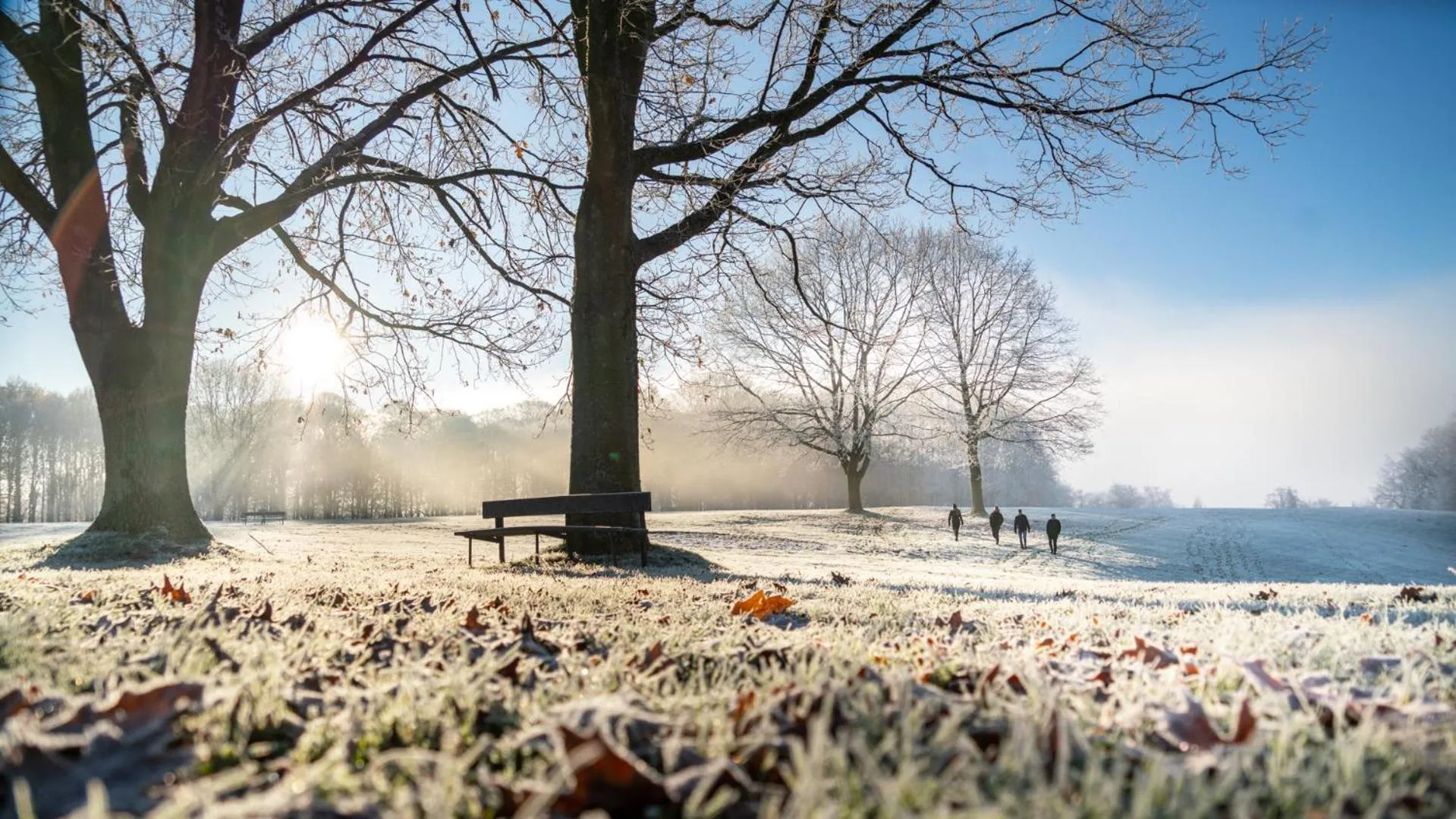 Natural landscape in Skanderborg Park