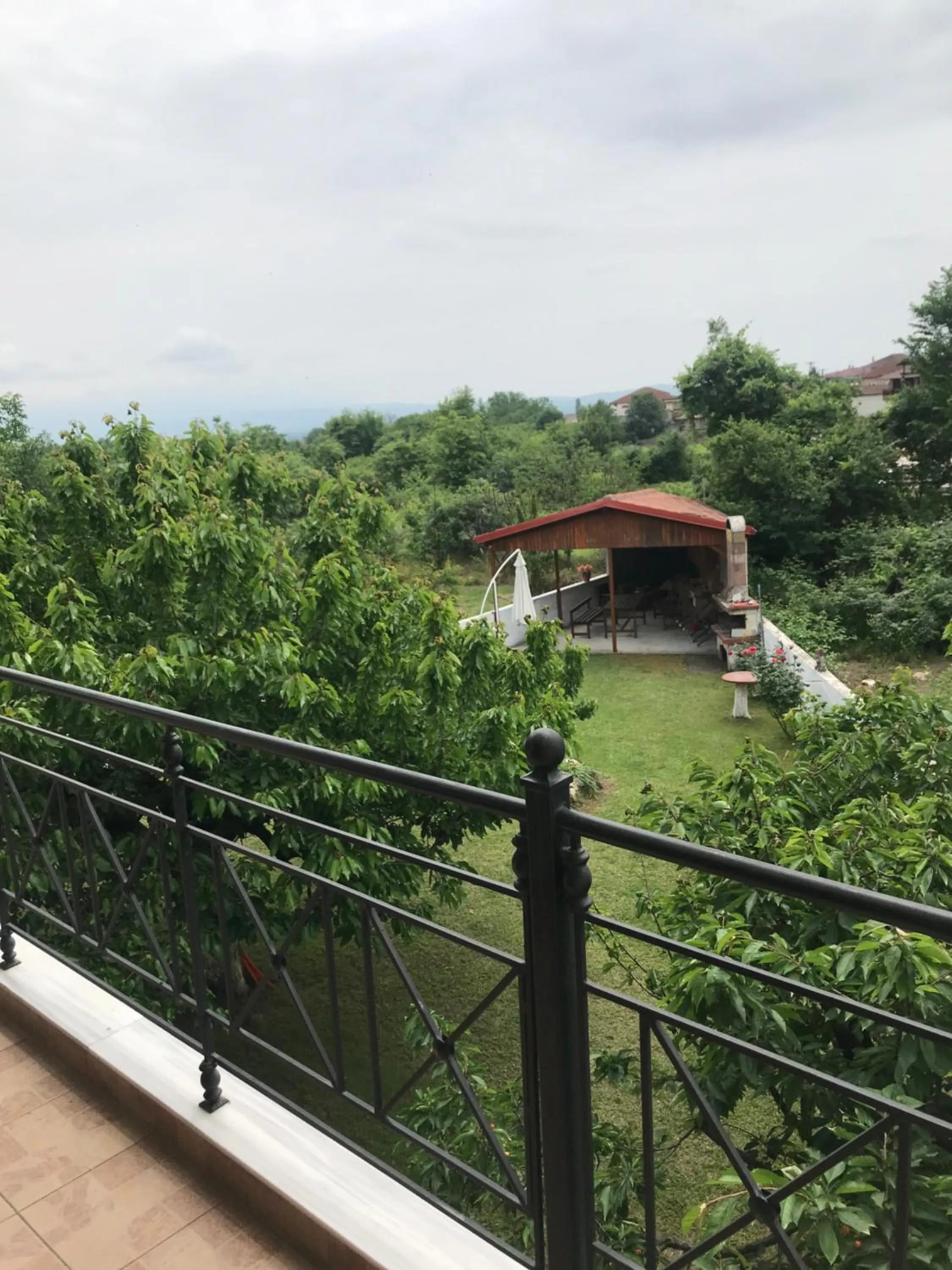 BBQ facilities in Enastron Hotel