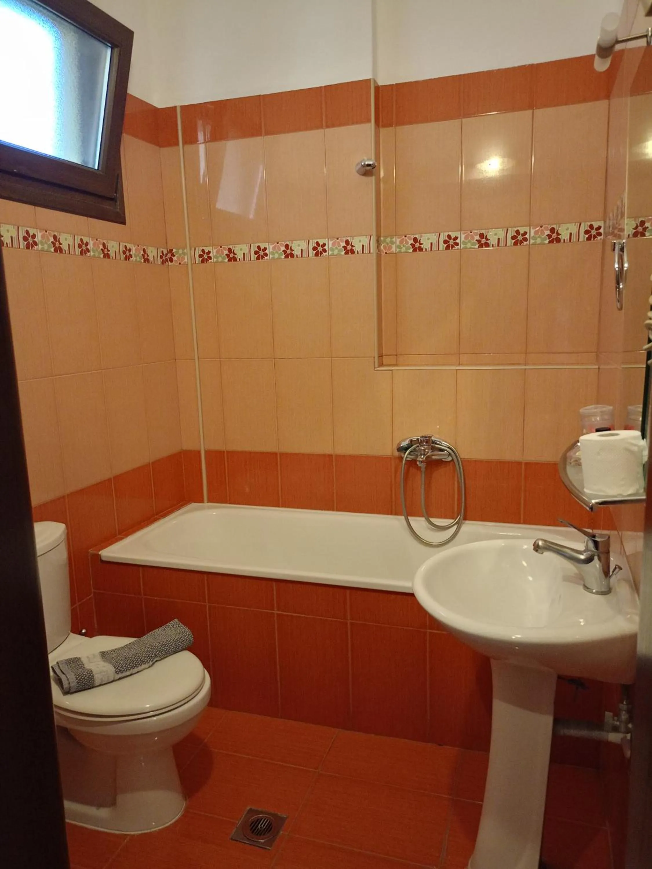 Bathroom in Hotel Edem