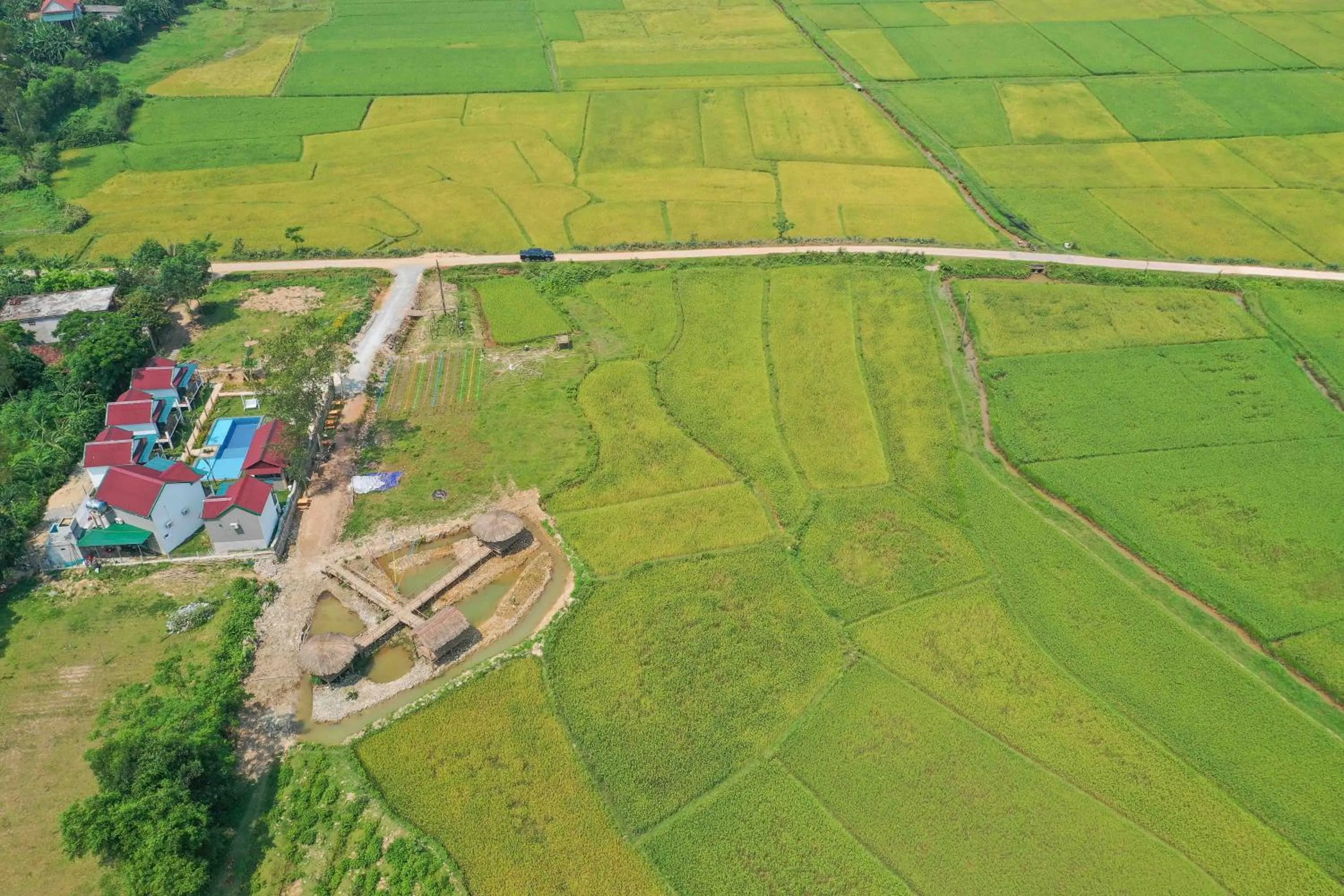 Property building in Palafita Bungalow