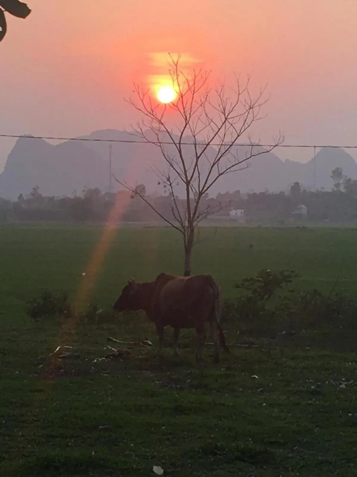 Palafita Bungalow Palafita Bungalow