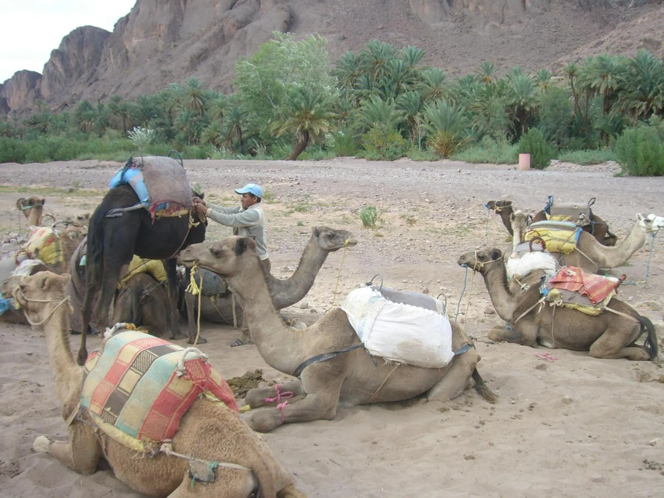 Activities in Auberge Restaurant TISSILI " Oasis de Fint"