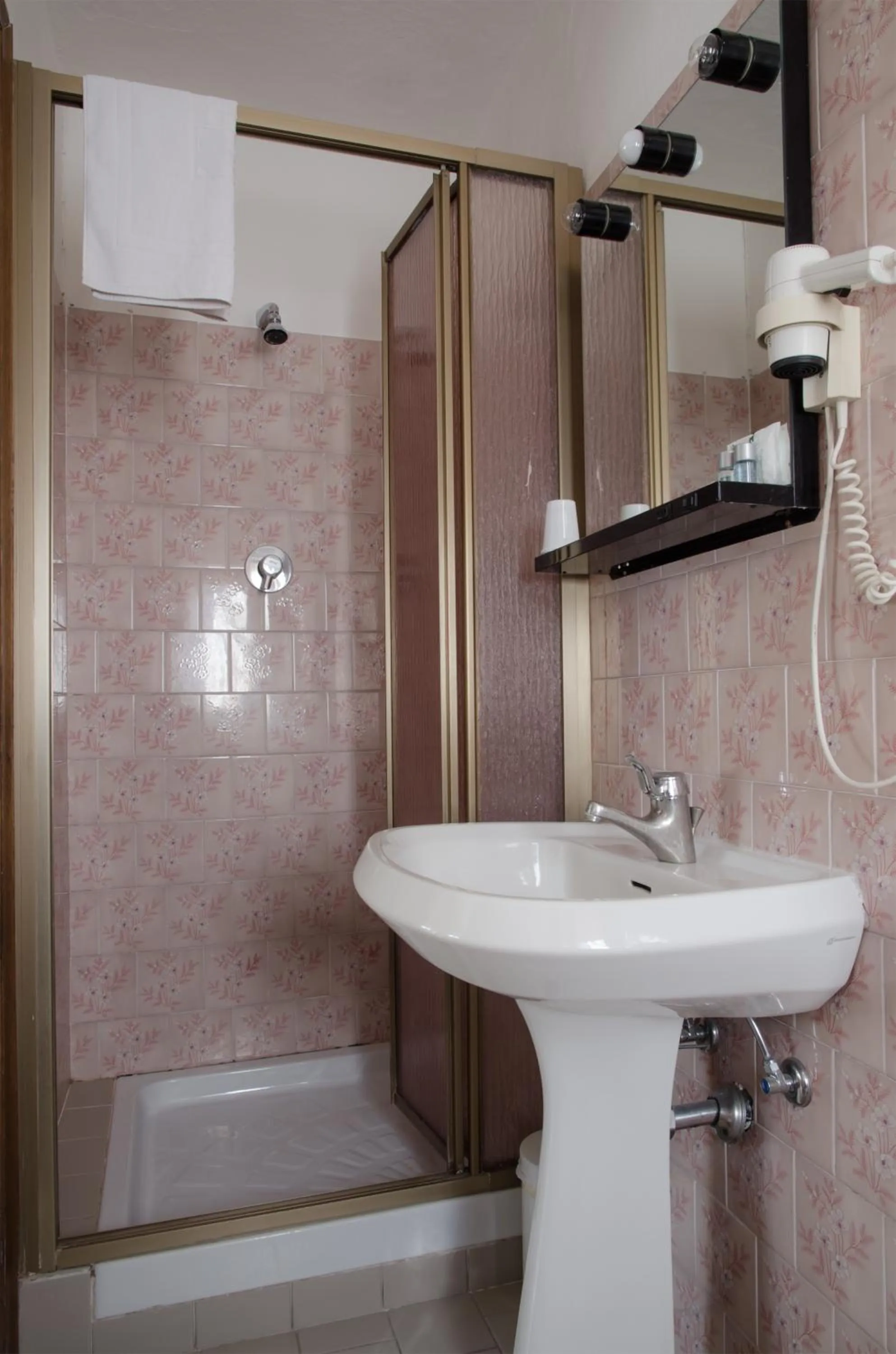 Shower in Hotel Capriolo