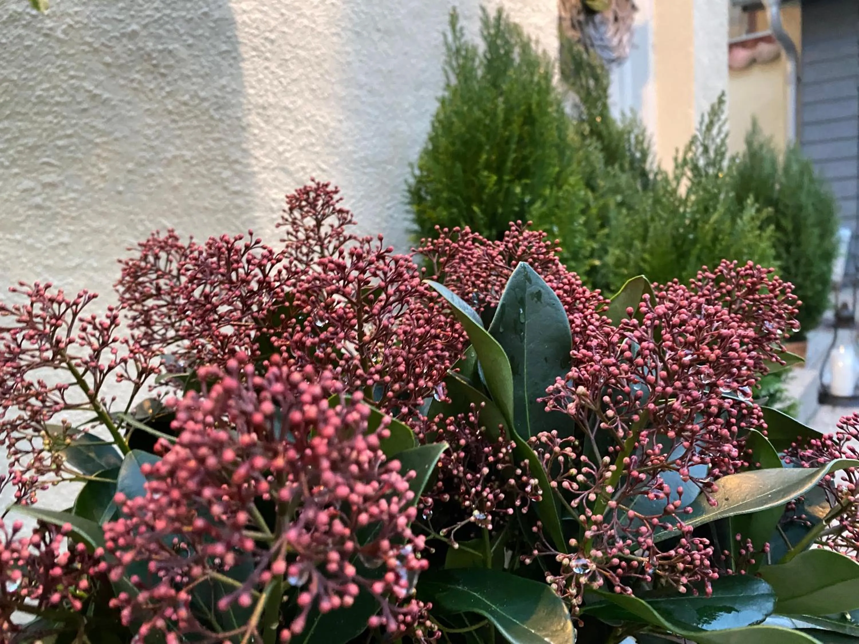 Property building in Hotel Aarhus City Apartments