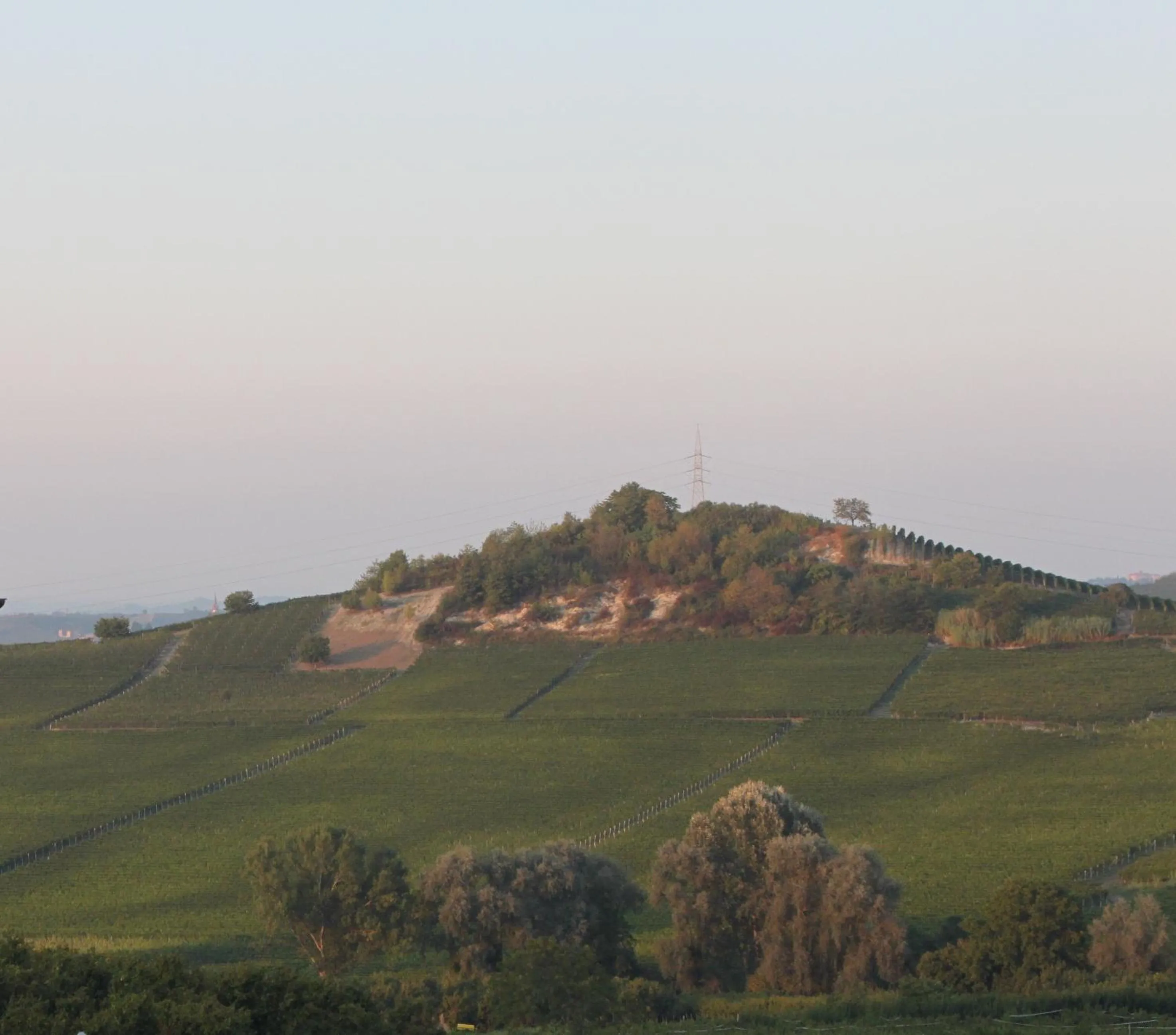 Garden view in Villa Vecchio