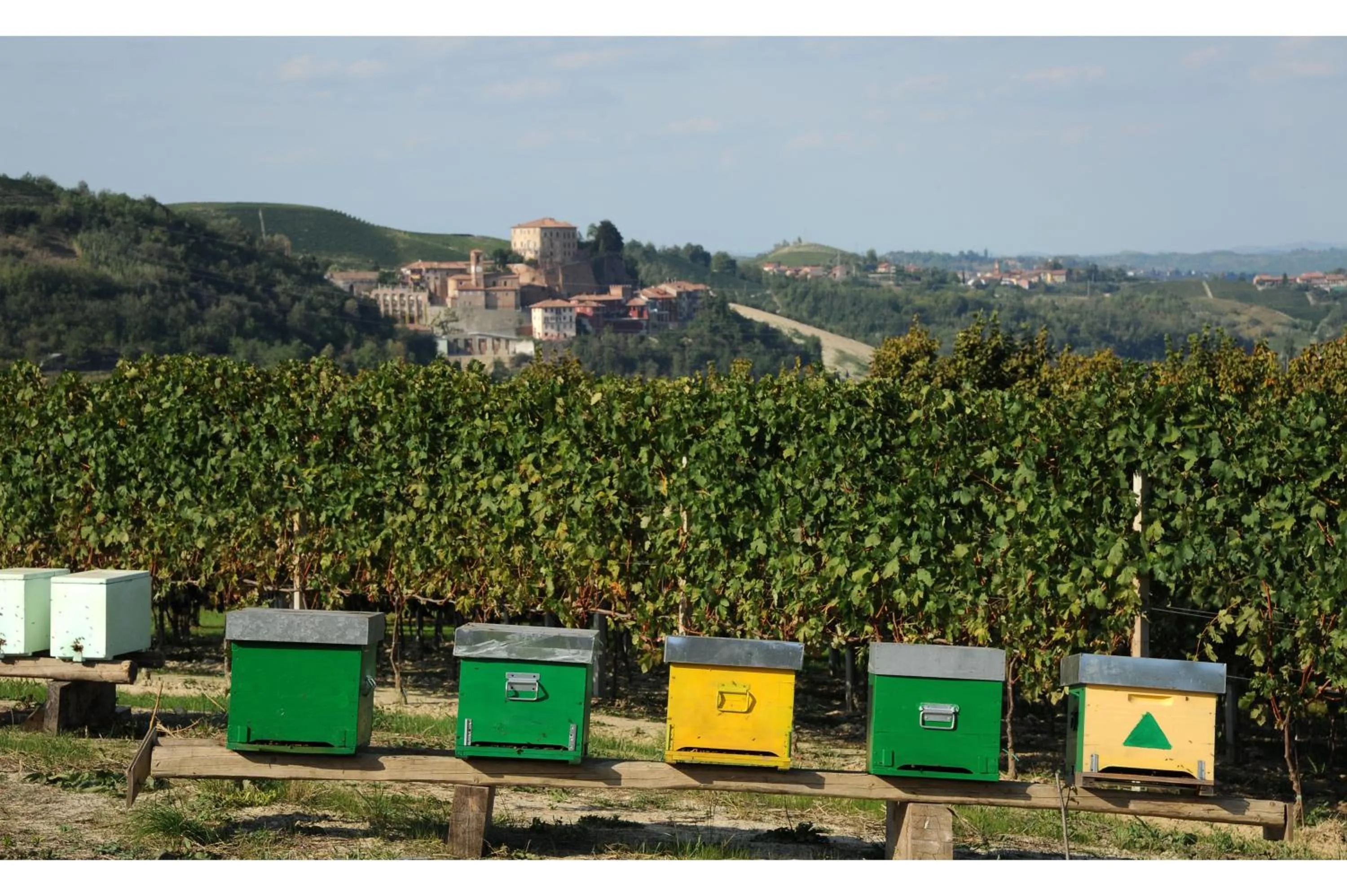 Bird's eye view in Villa Vecchio