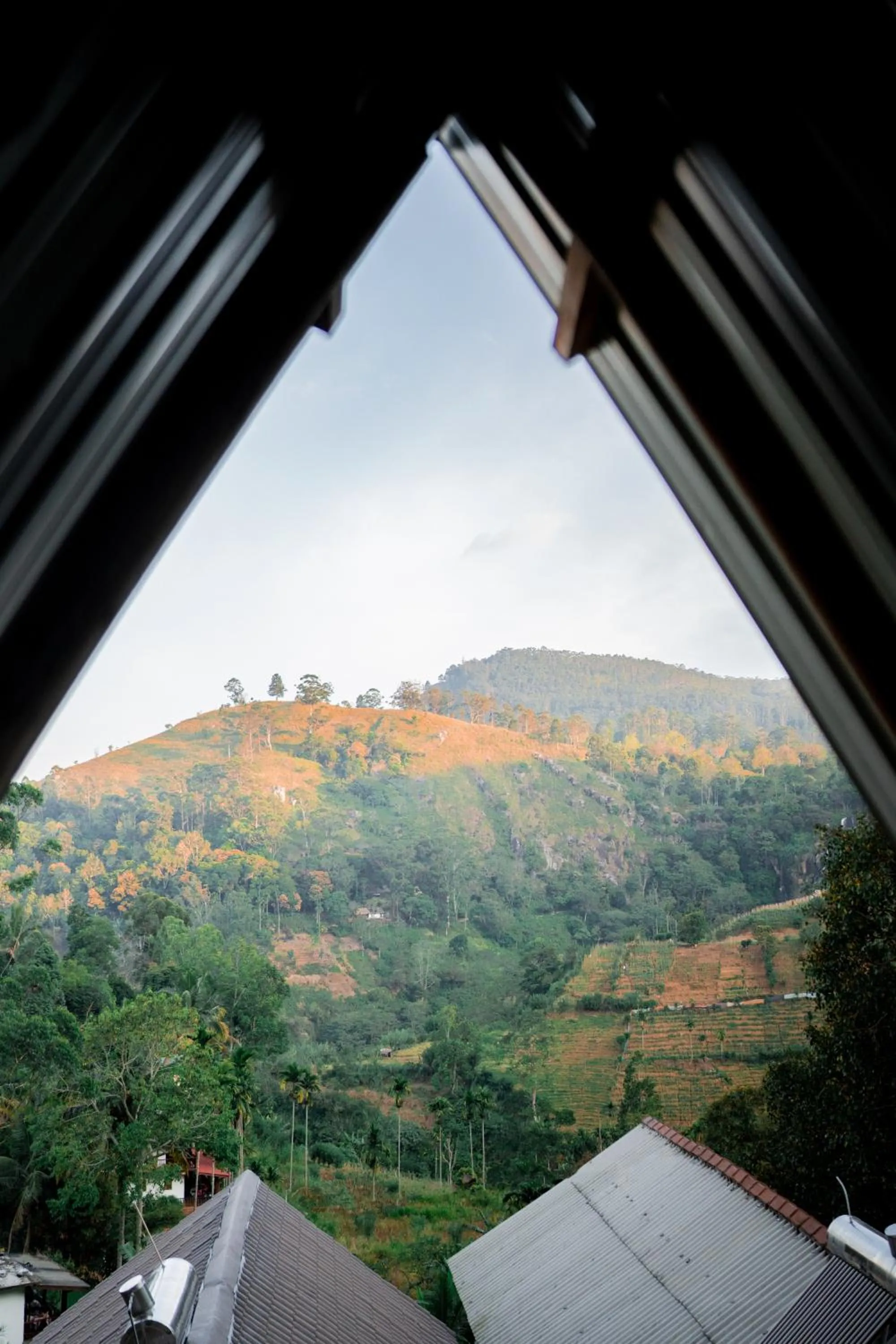 View (from property/room) in Ella 100 View Cottage