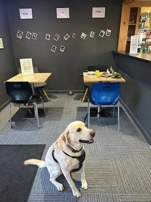 Restaurant/places to eat in ibis Lincoln