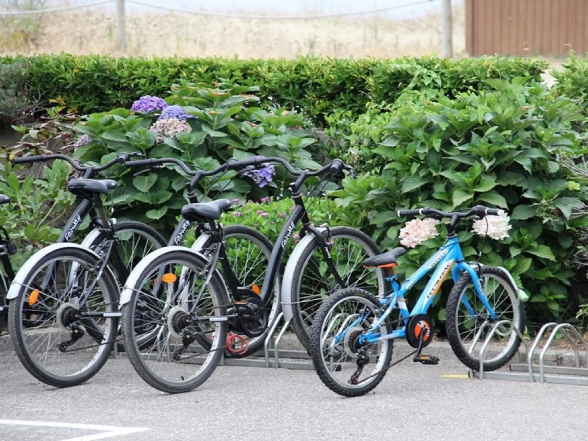 Cycling in Hotel Delfin Azul