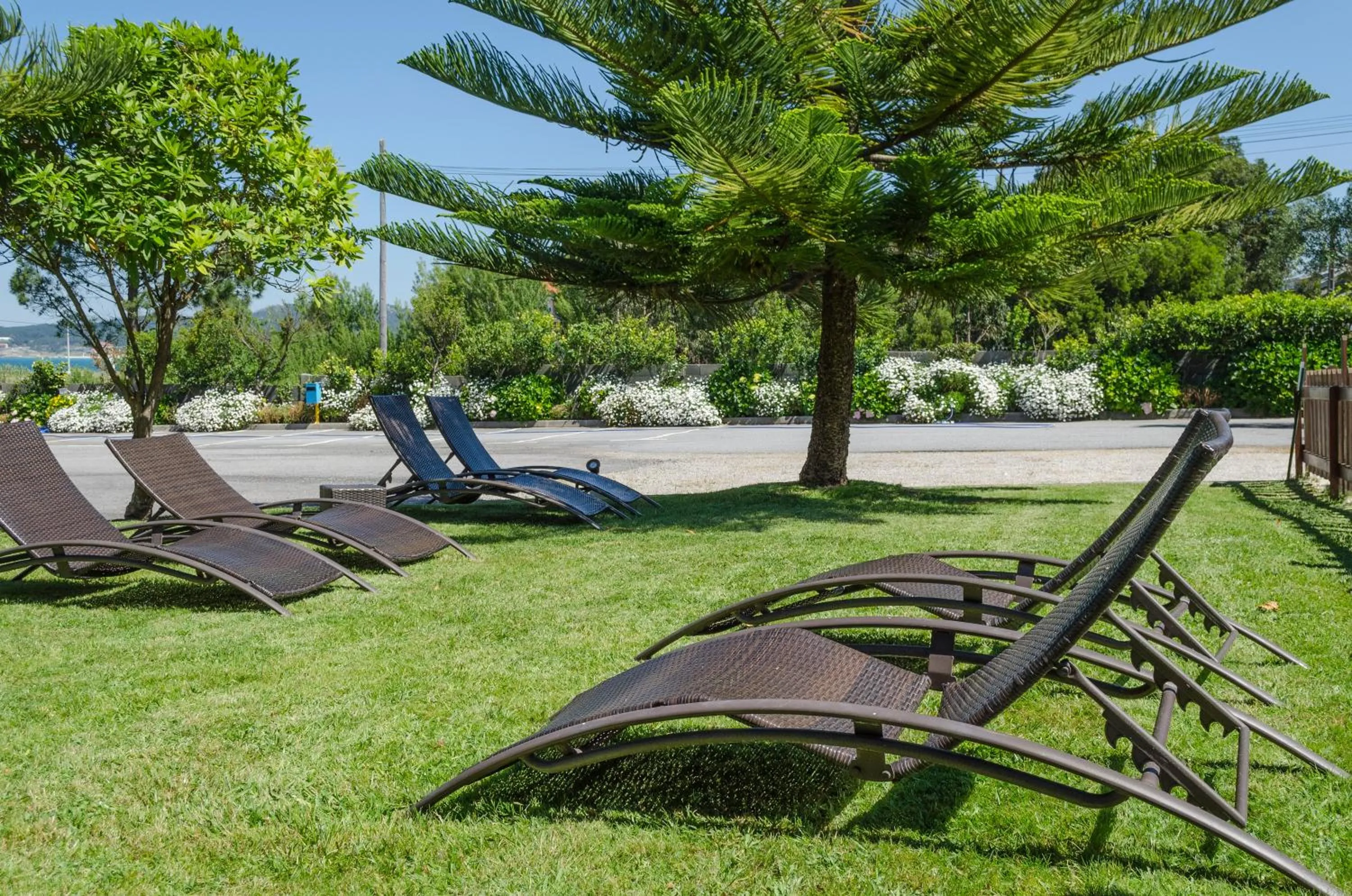 Garden in Hotel Delfin Azul