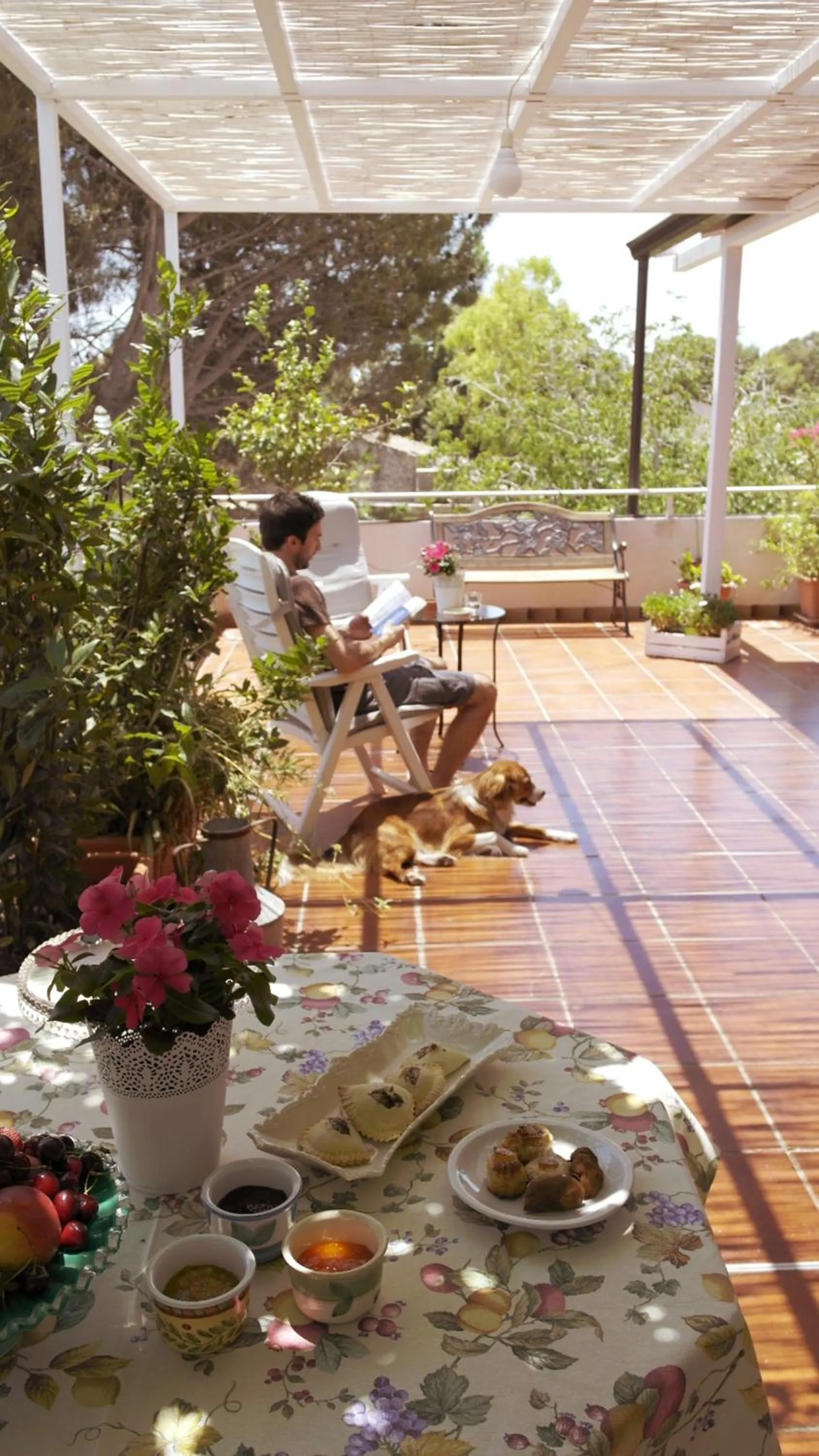 Balcony/Terrace in Giogaia