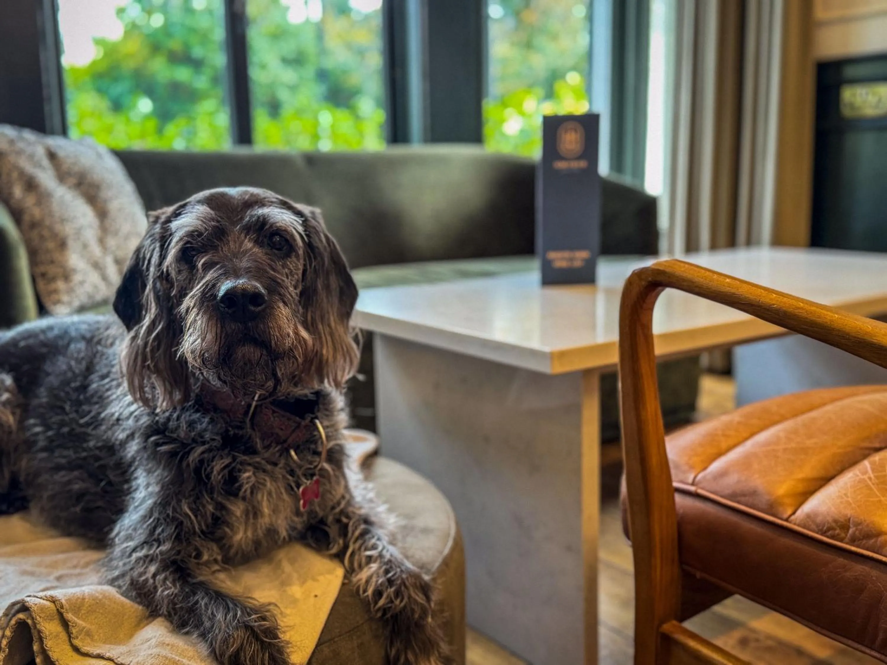 Patio in Gwydyr Hotel