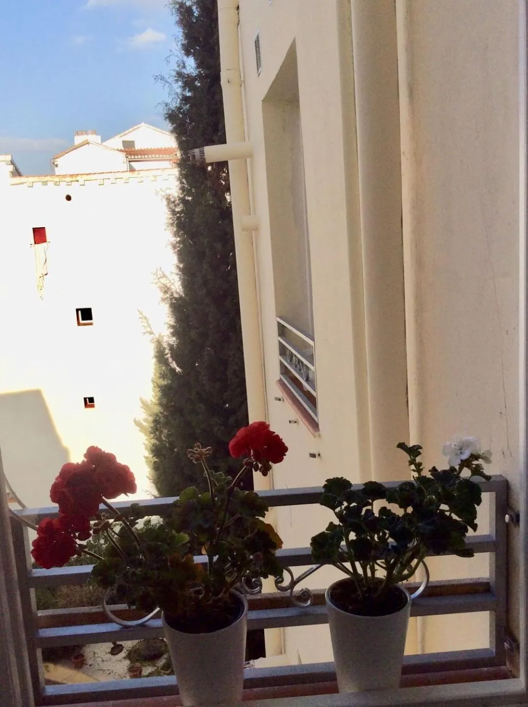 Quiet street view in Hostal Palacio Luna