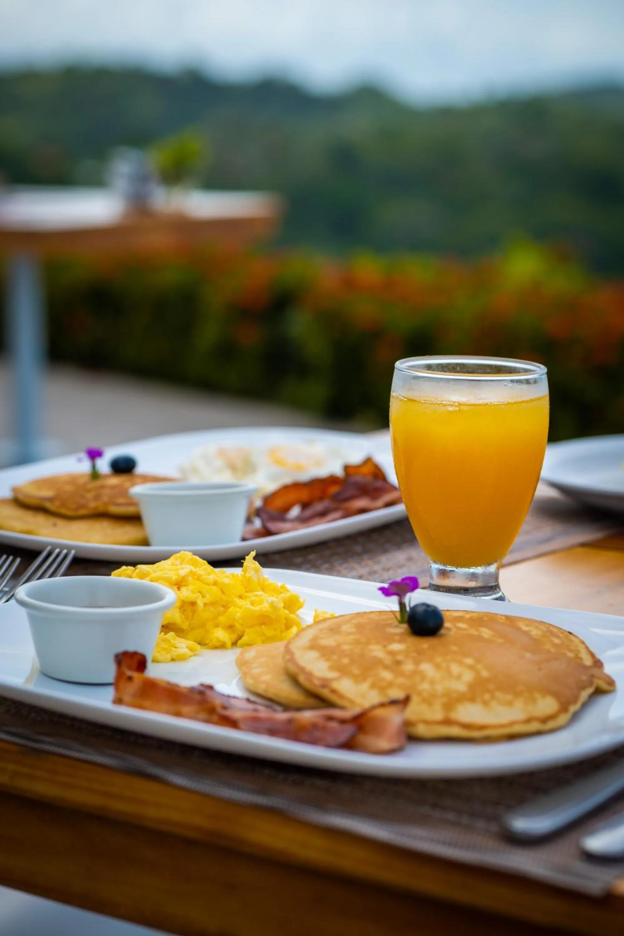 Food and drinks in Hotel La Mariposa