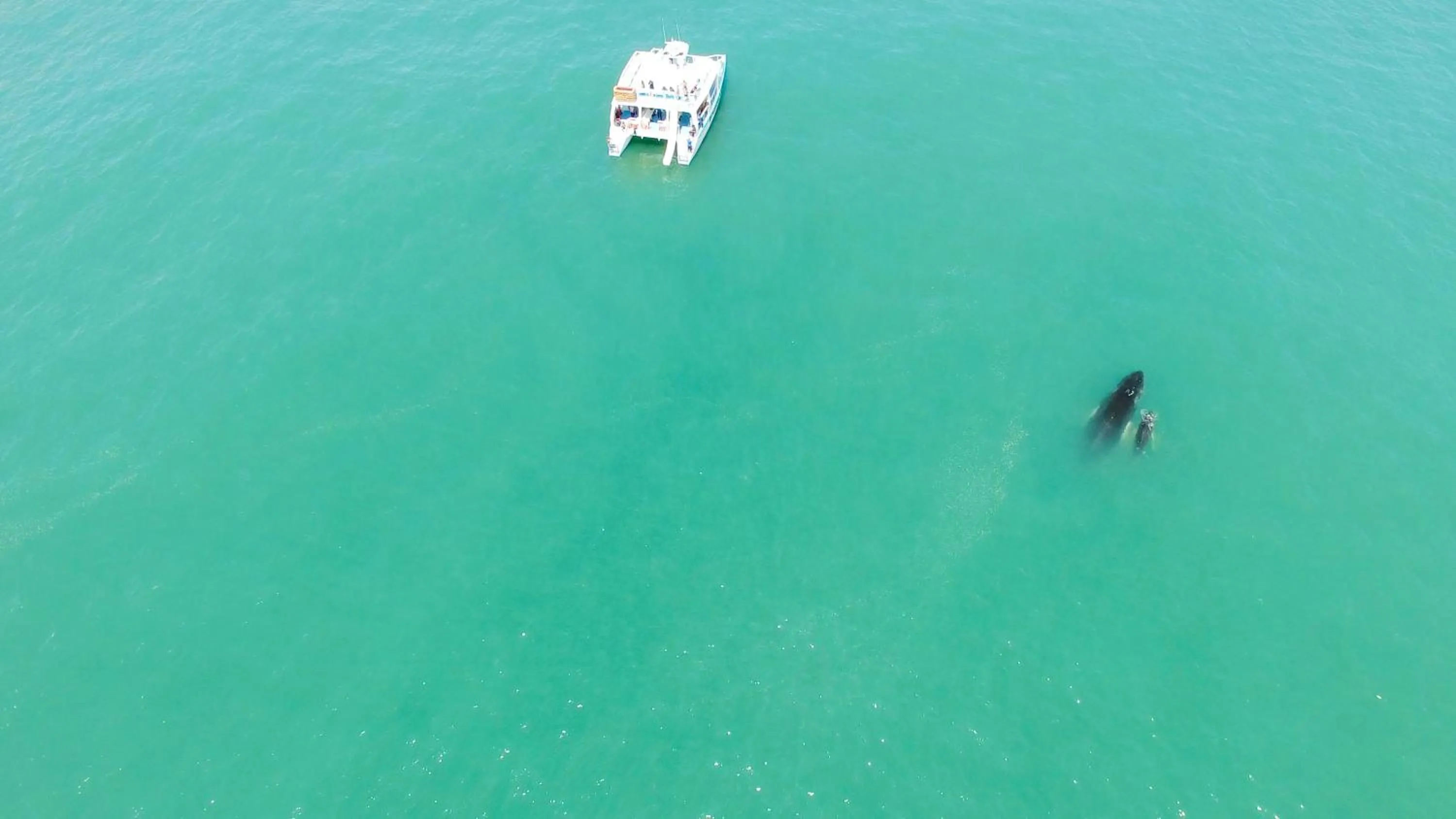 Activities in Hotel La Mariposa