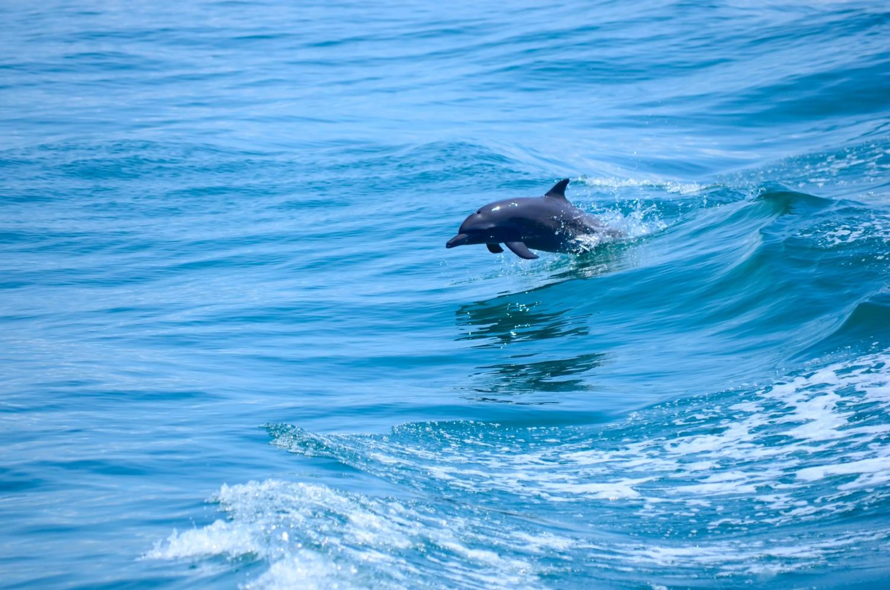 Natural landscape in Hotel La Mariposa