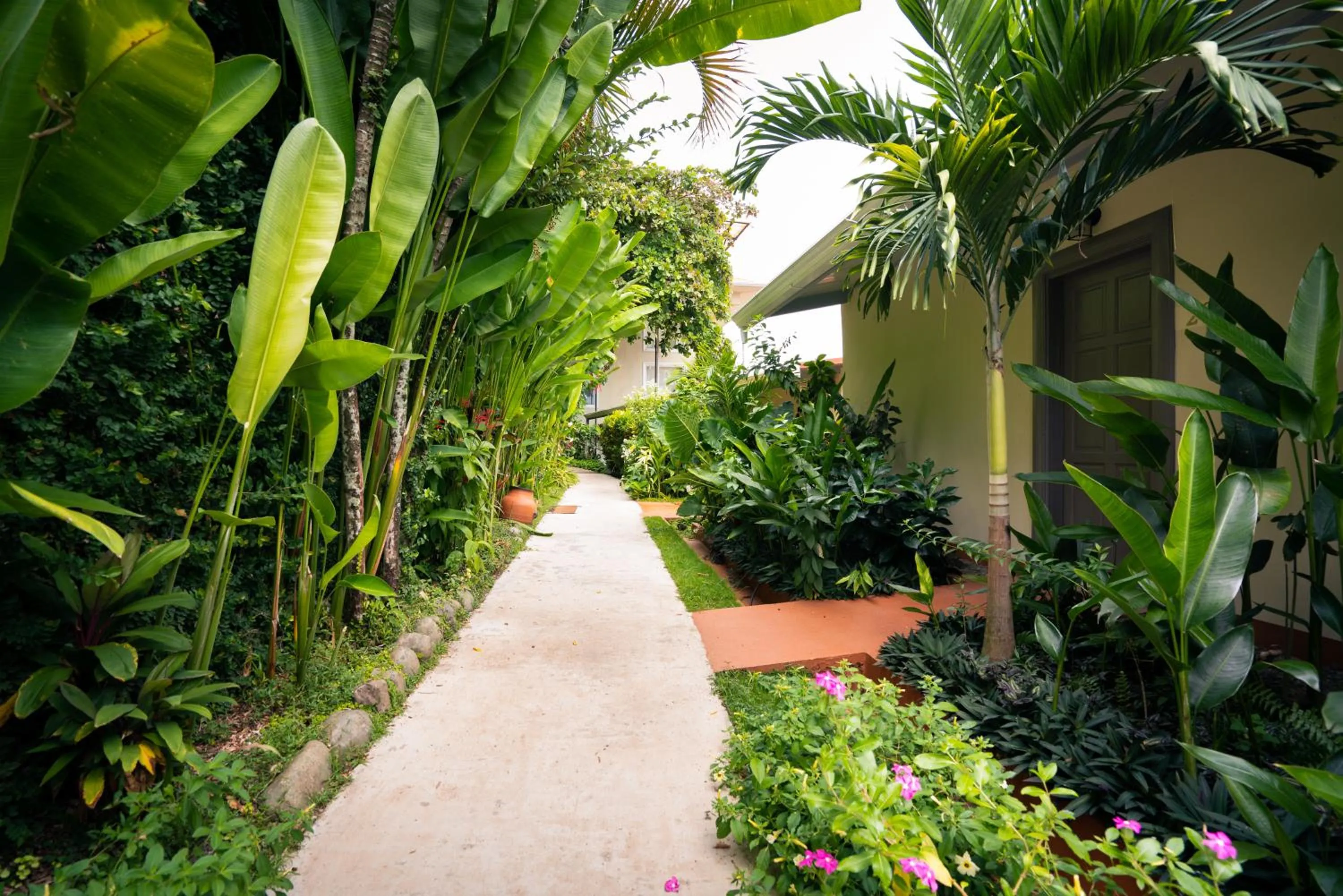 Garden in Hotel La Mariposa