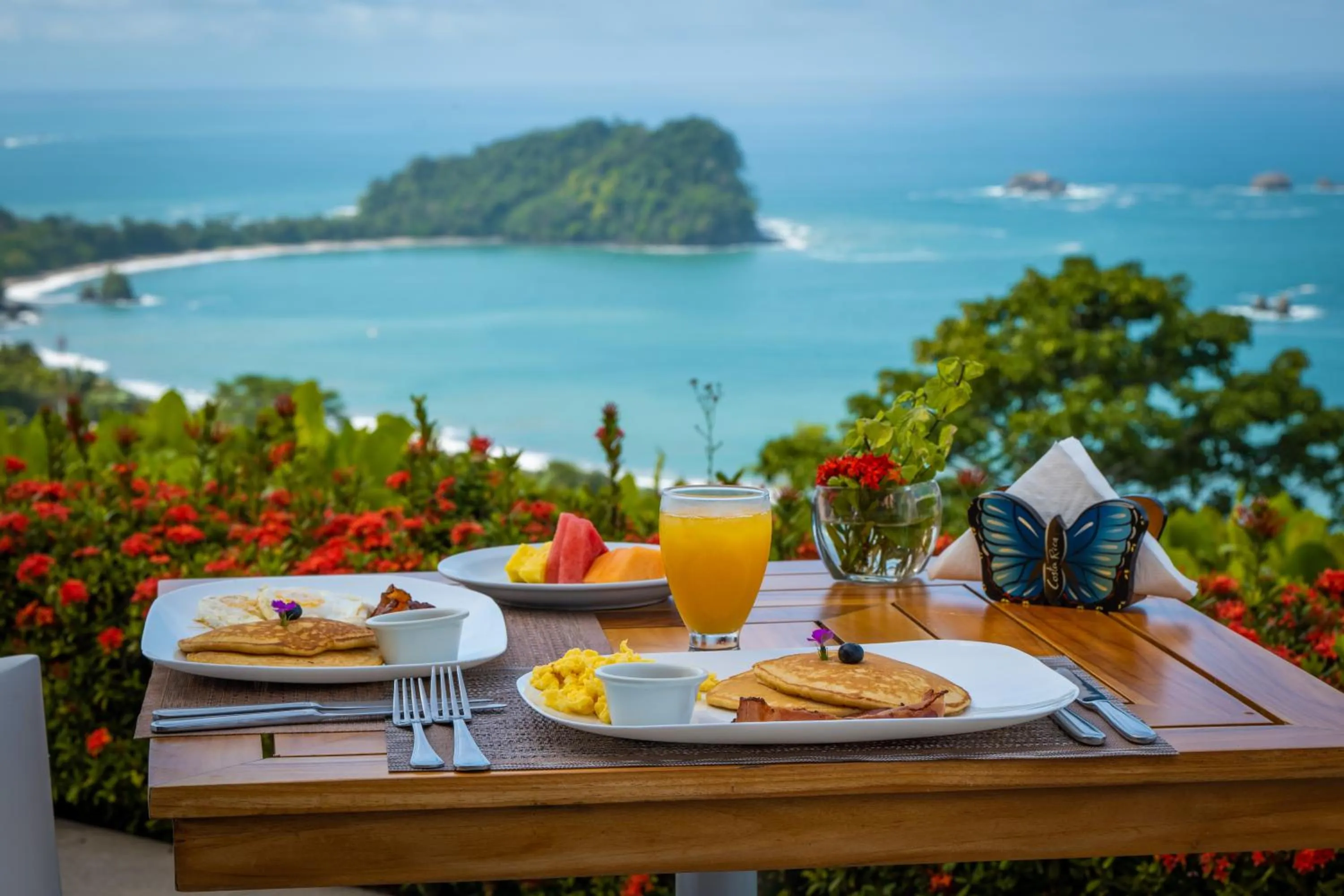 Natural landscape in Hotel La Mariposa