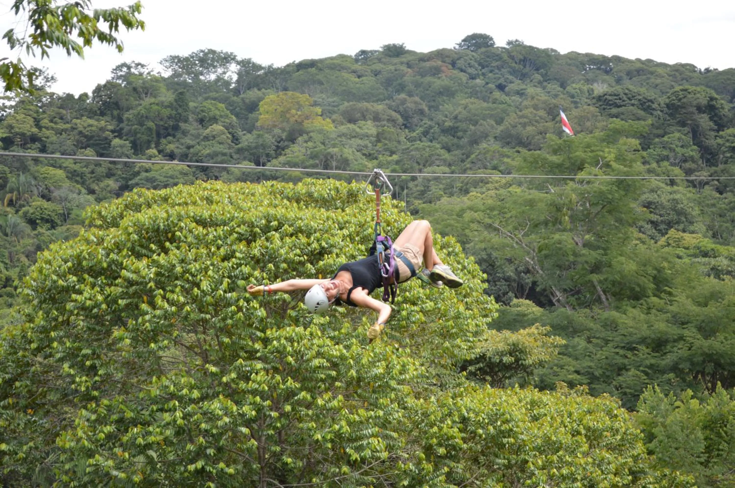 Natural landscape in Hotel La Mariposa