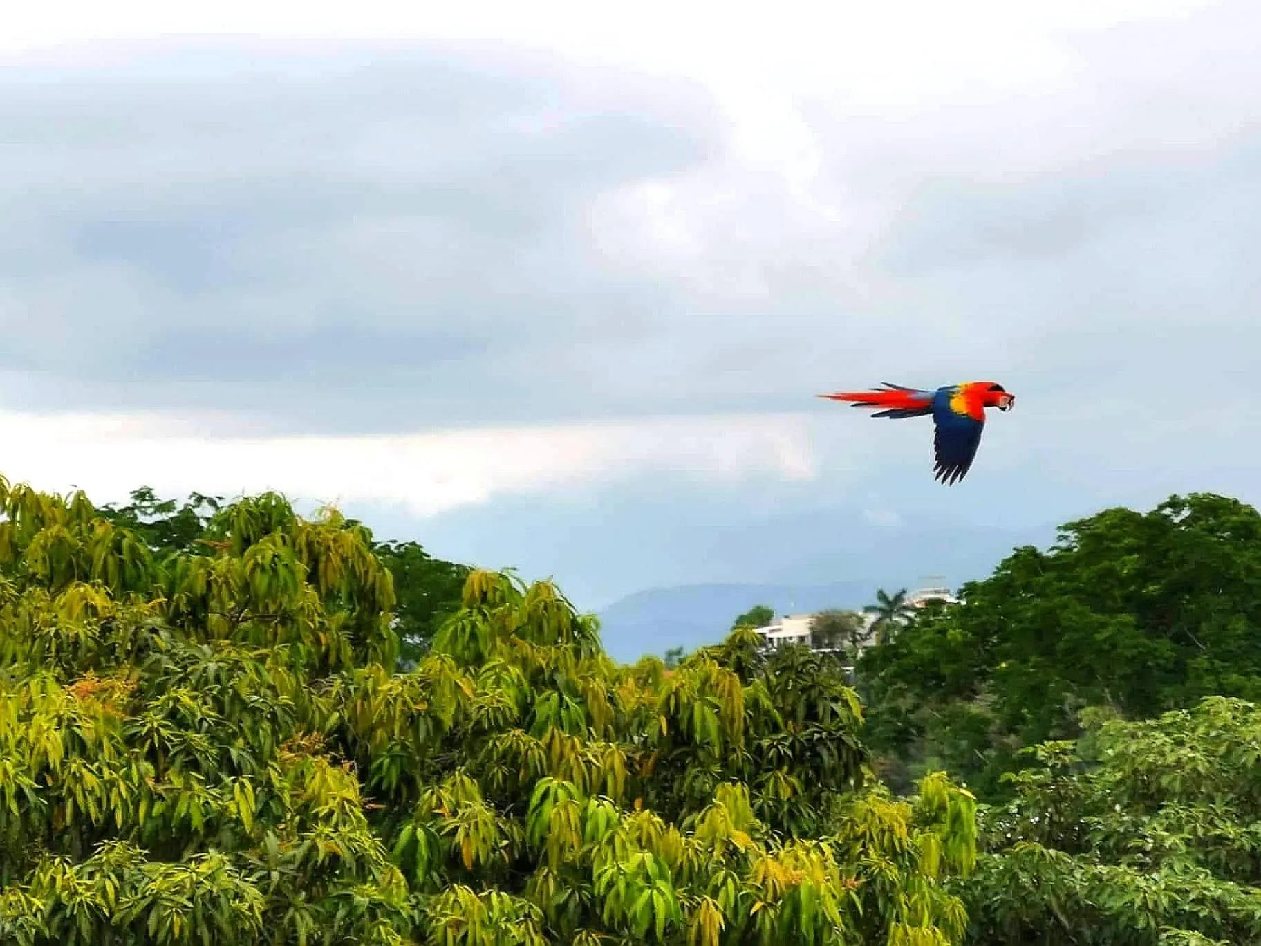 Natural landscape in Hotel La Mariposa
