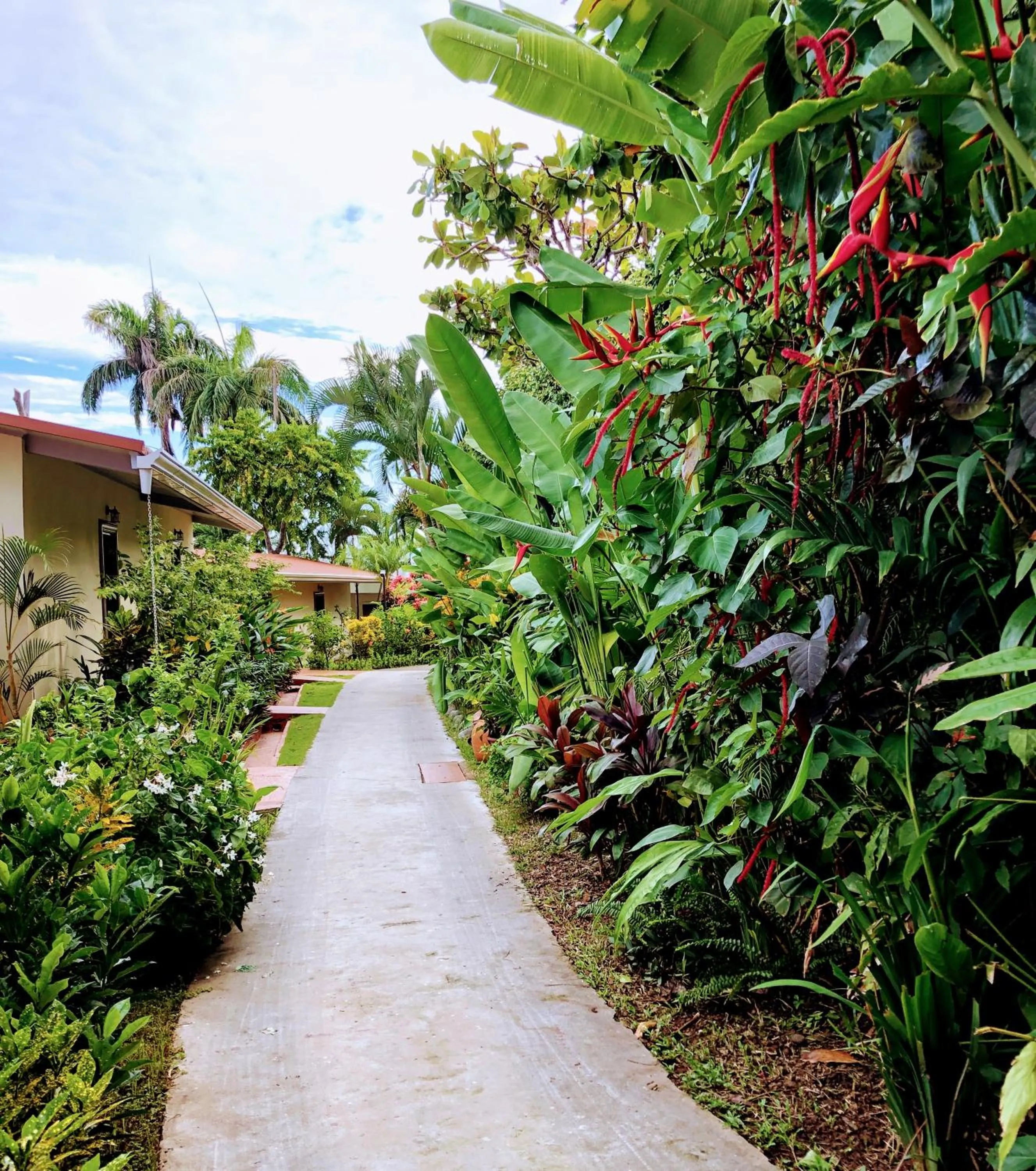 Garden in Hotel La Mariposa
