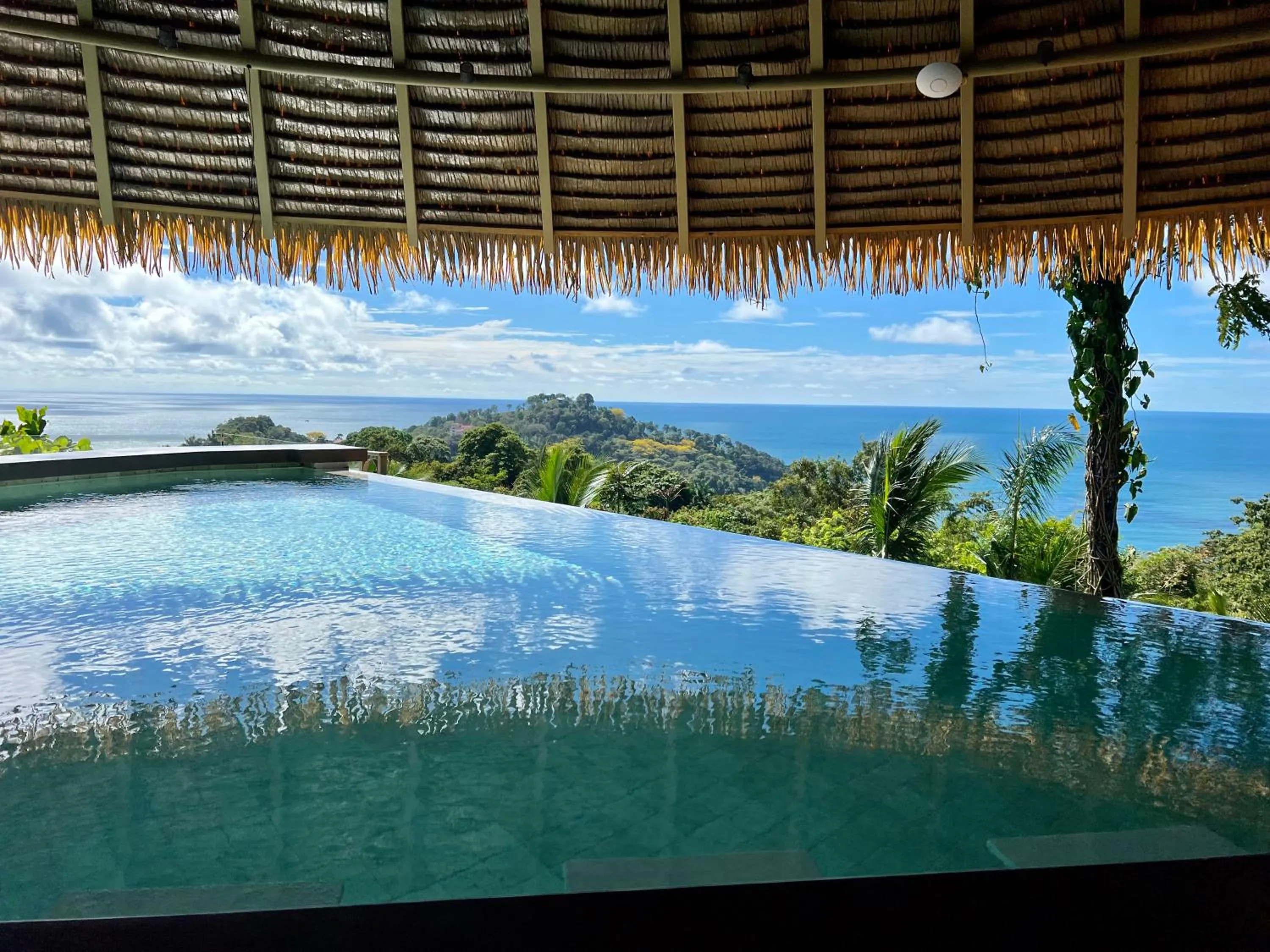 Lounge or bar in Hotel La Mariposa