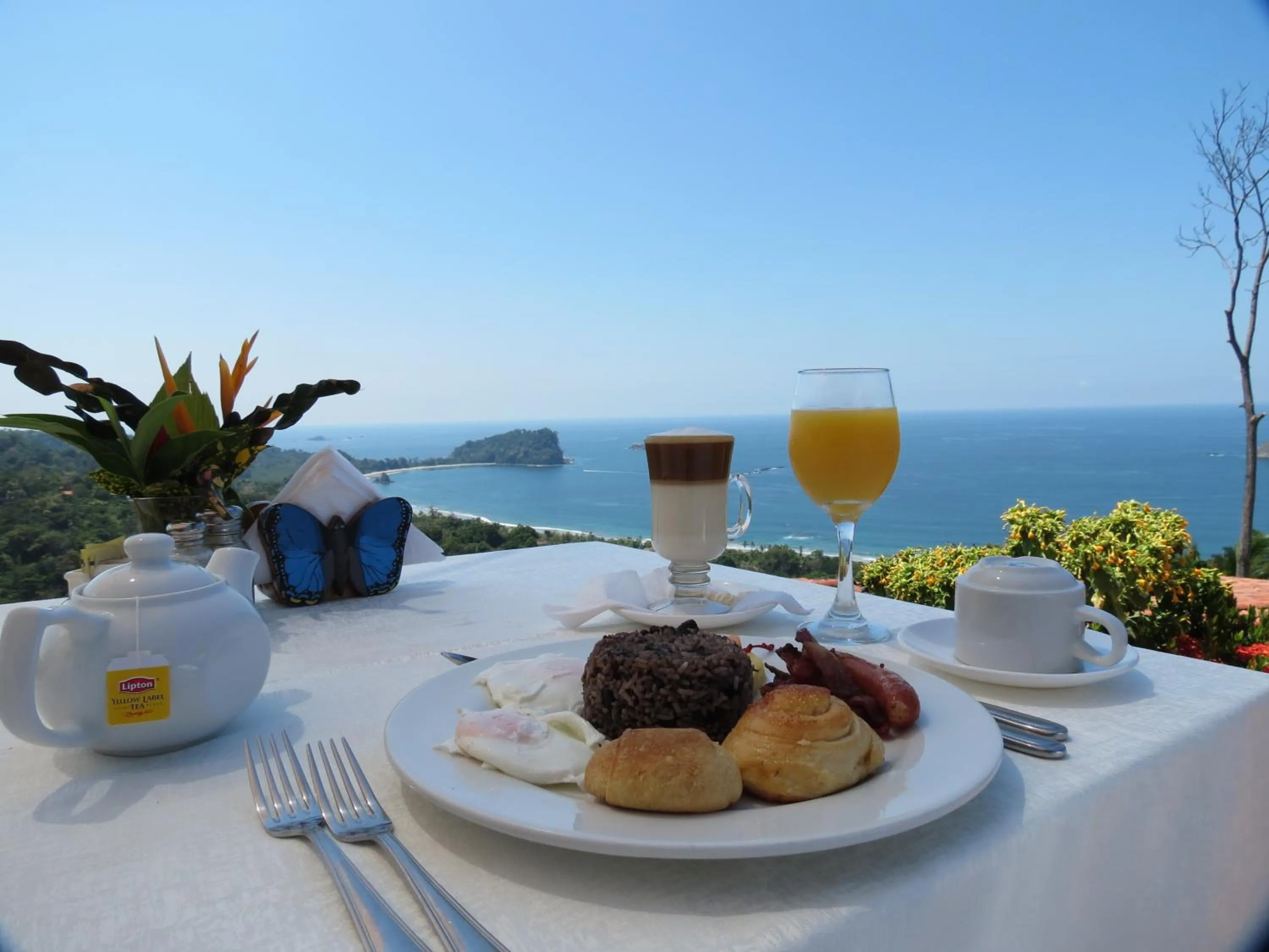 Restaurant/places to eat in Hotel La Mariposa