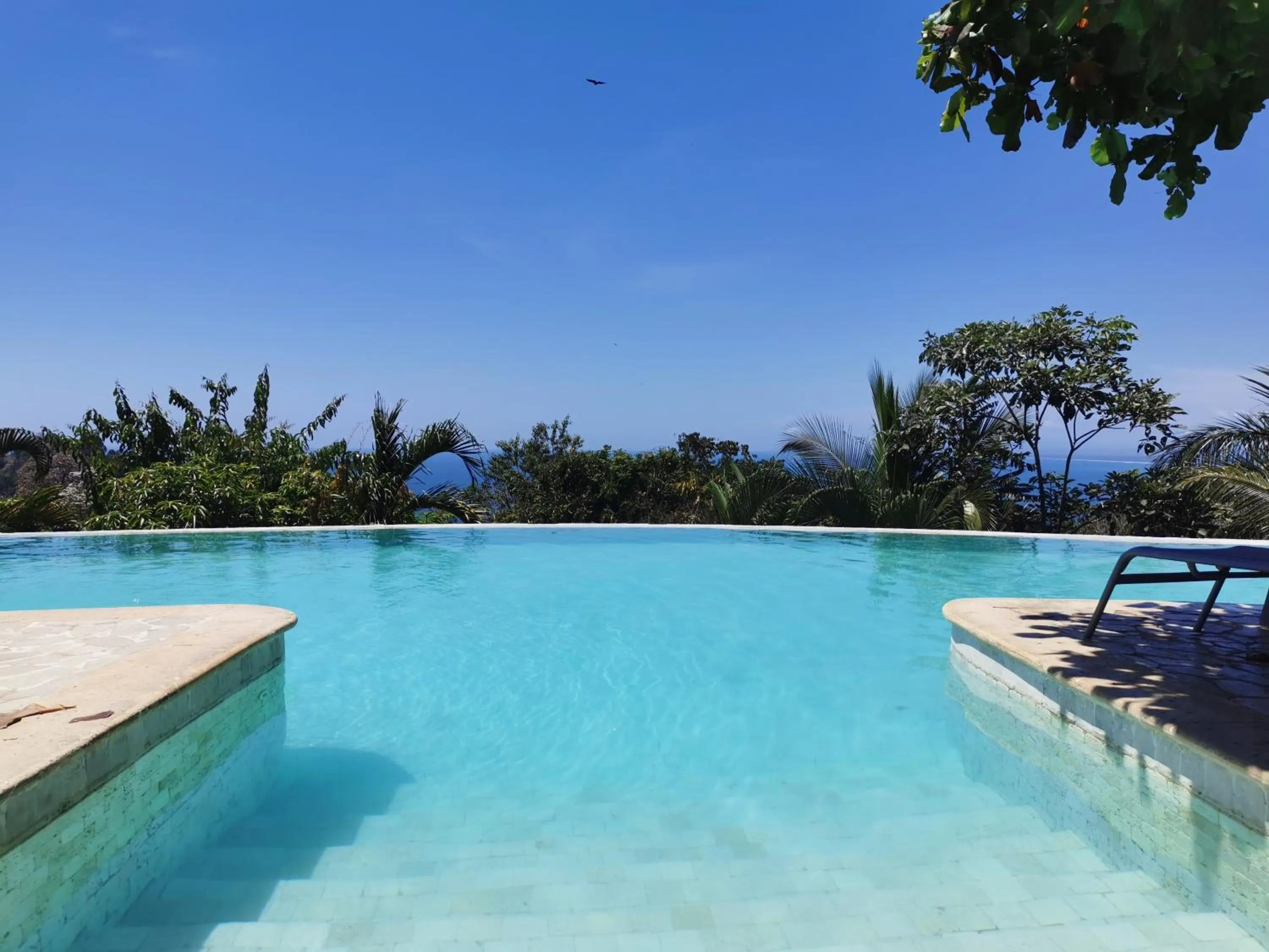 Swimming pool in Hotel La Mariposa
