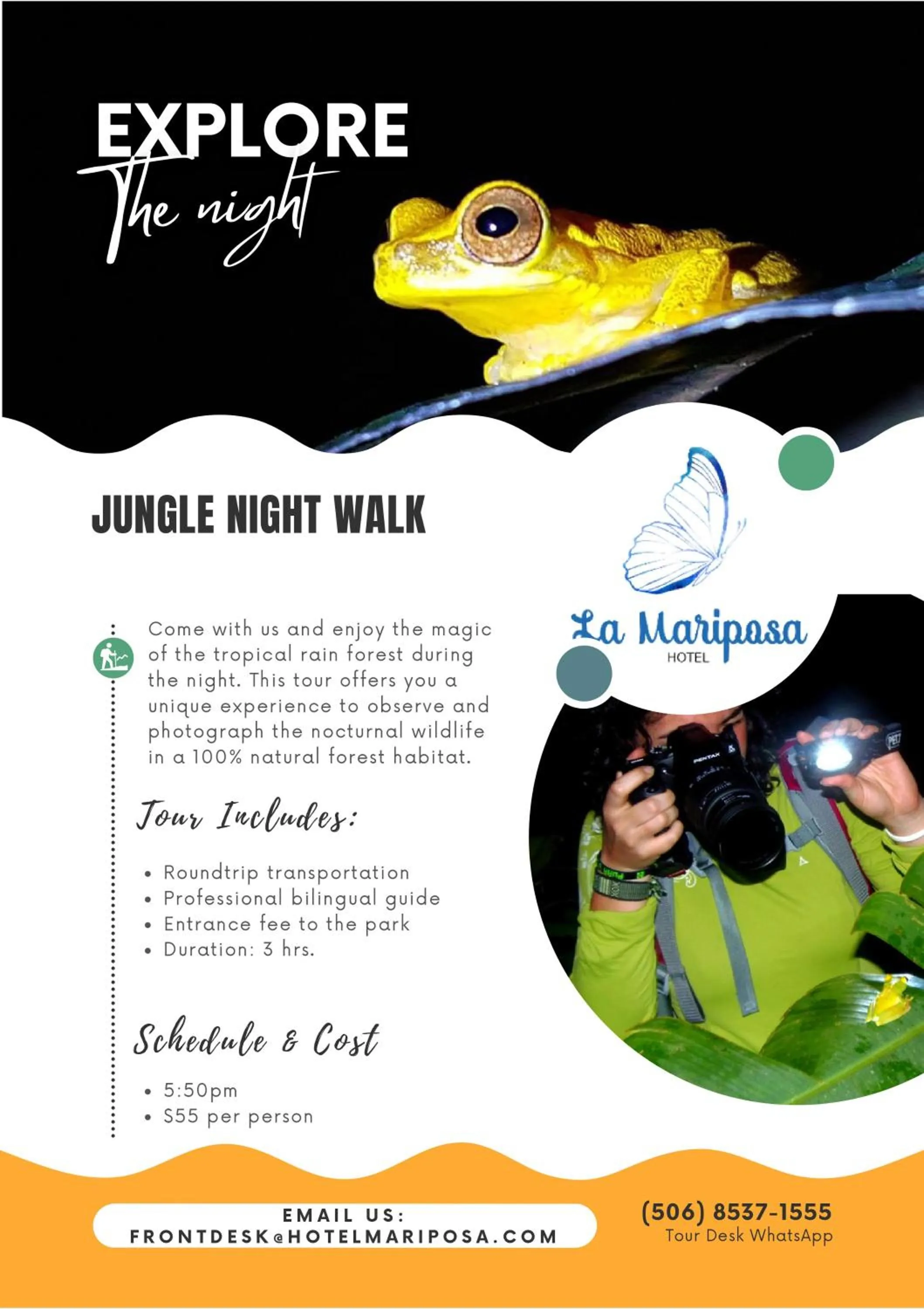 Activities in Hotel La Mariposa